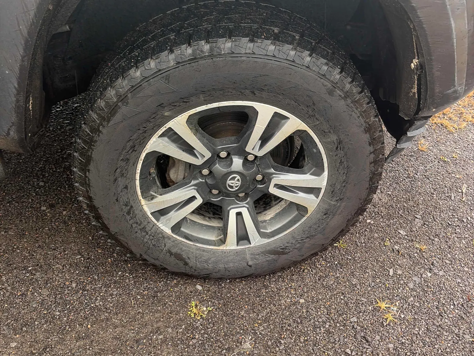 Tire