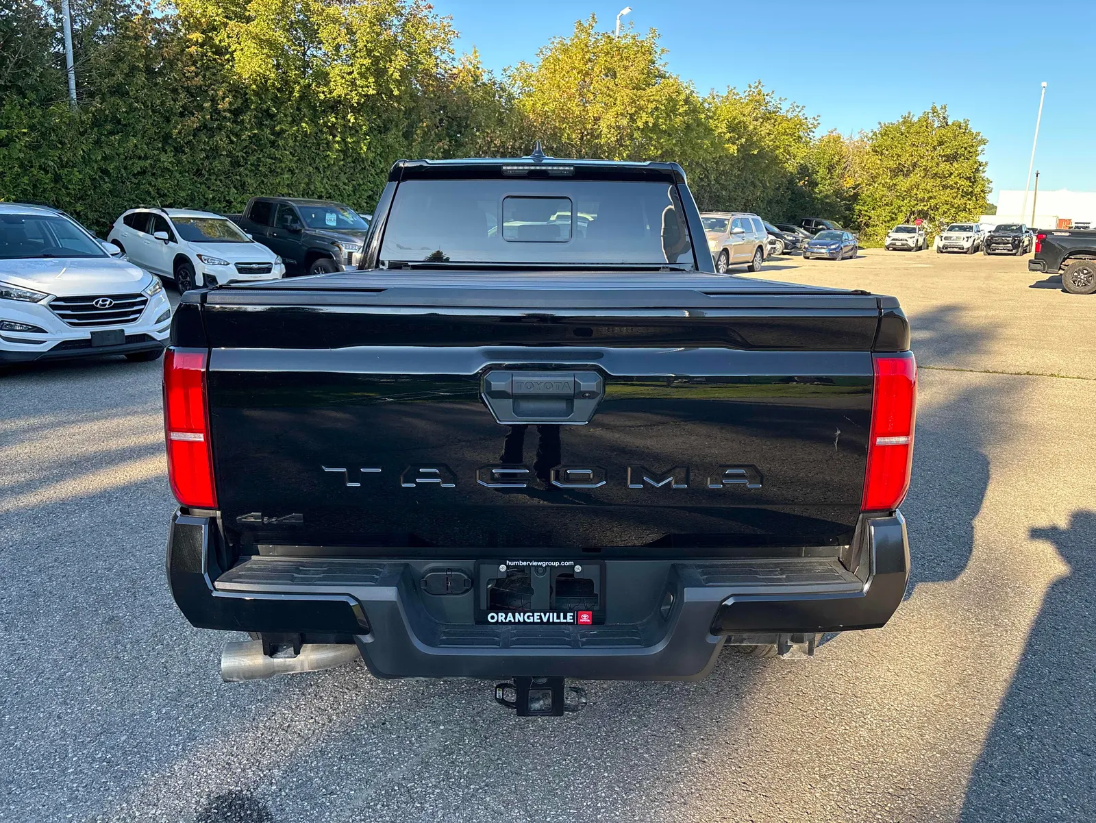 Back