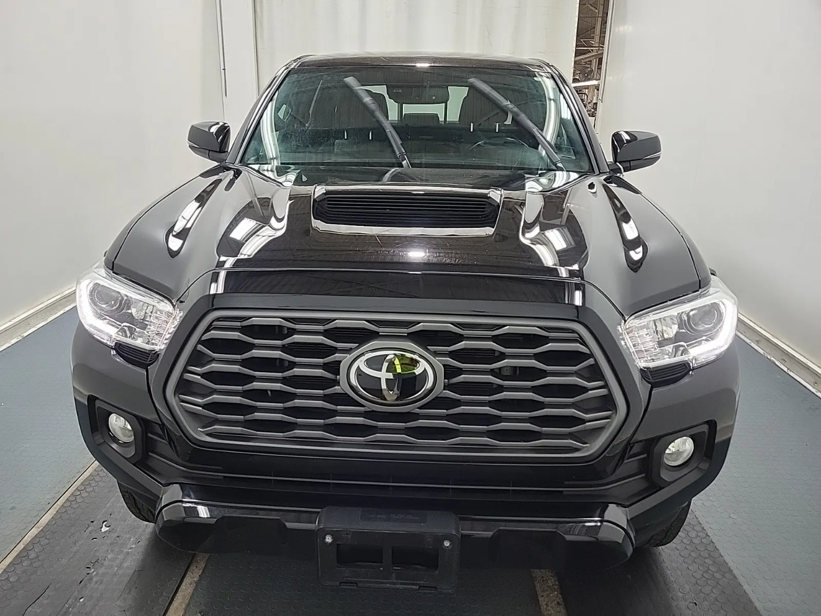 Full Front Photo