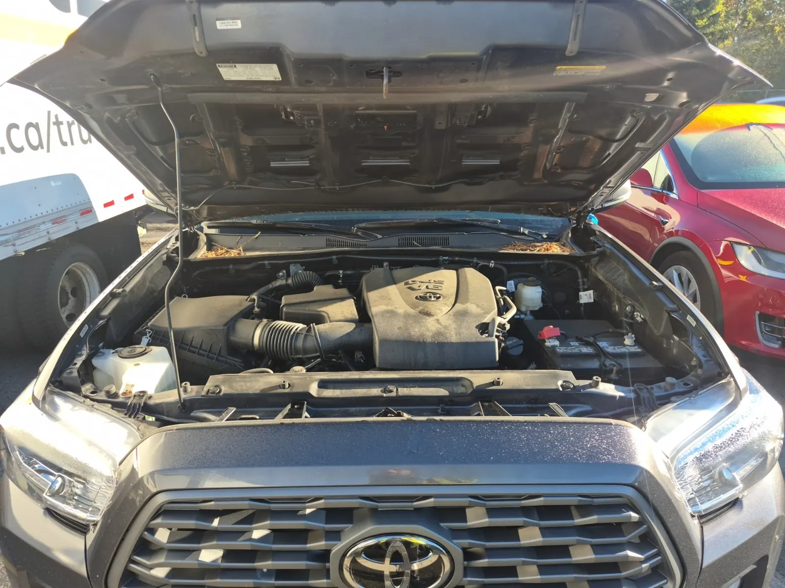Engine Photo