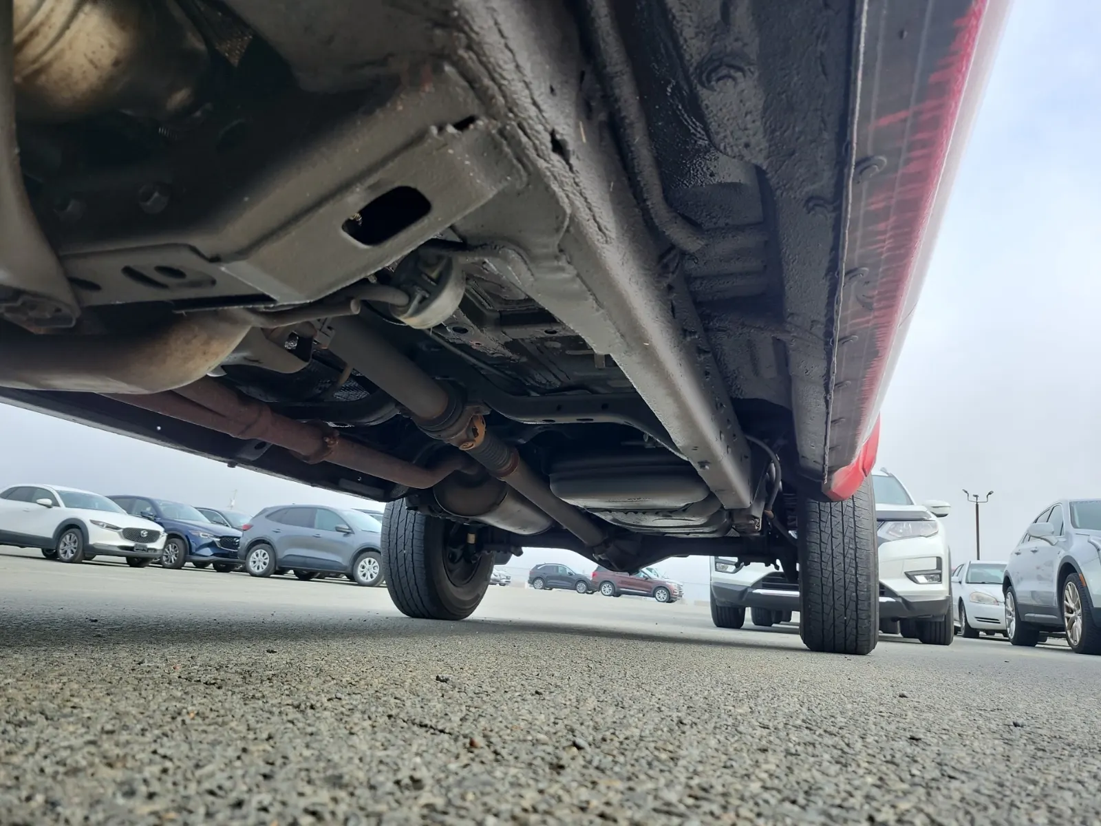 Undercarriage - Driver Photo