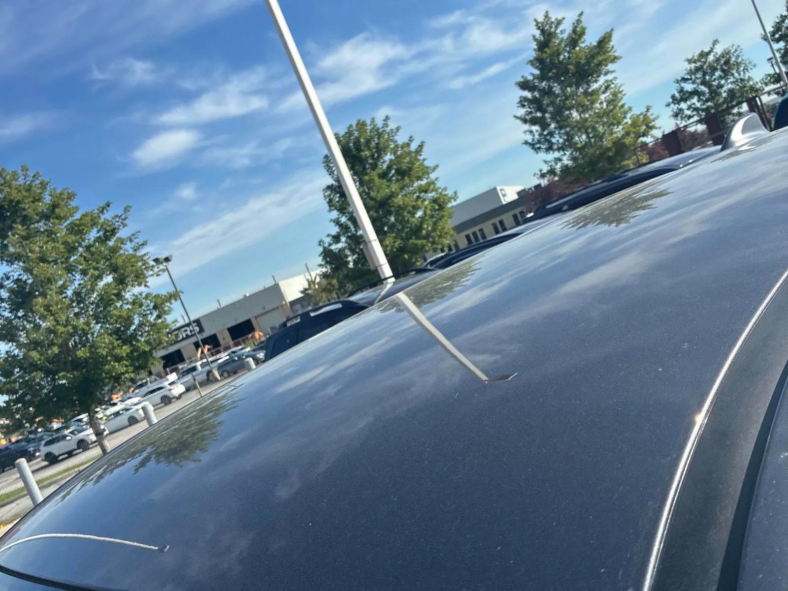 Additional Photo