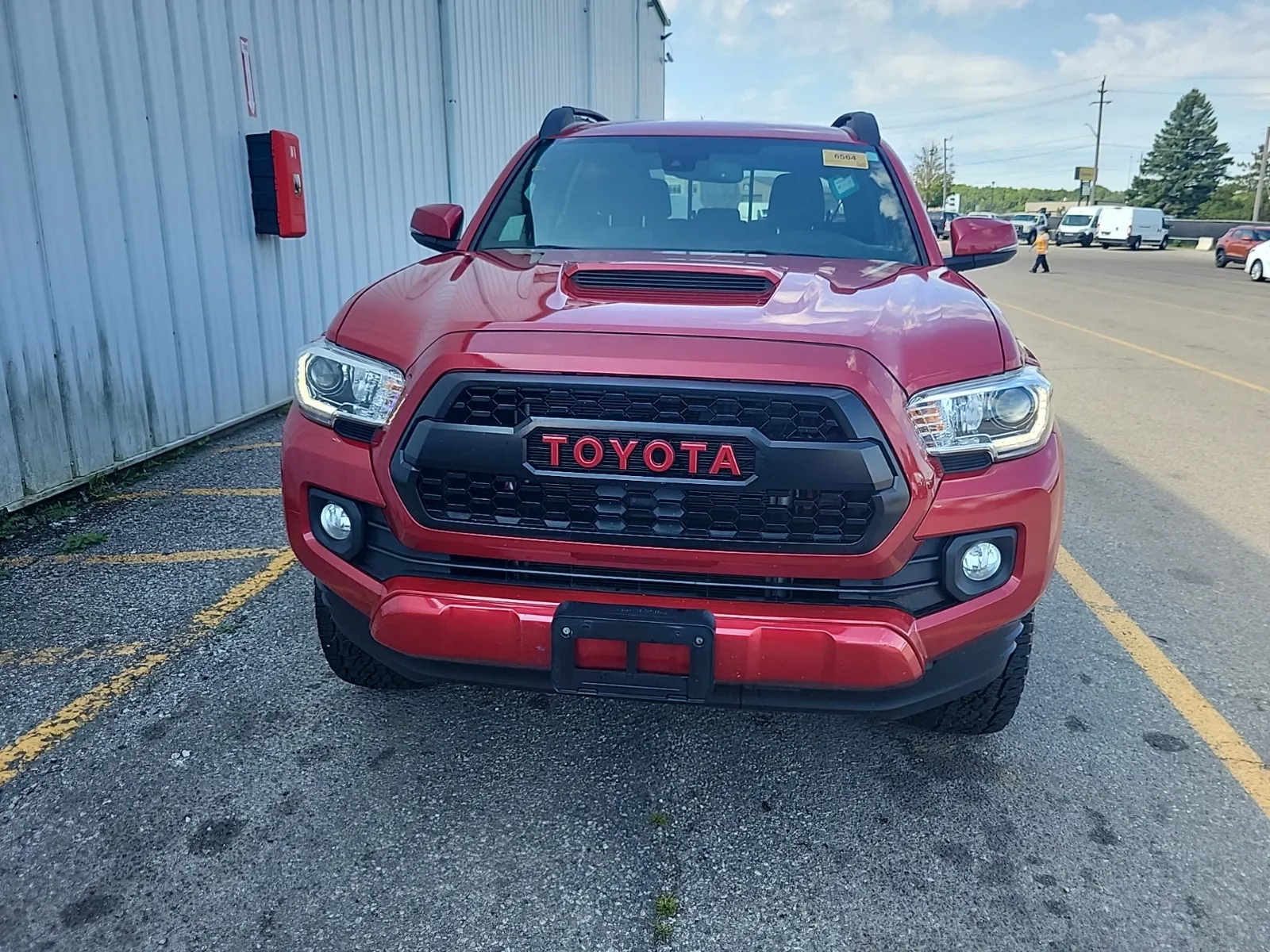 Full Front Photo