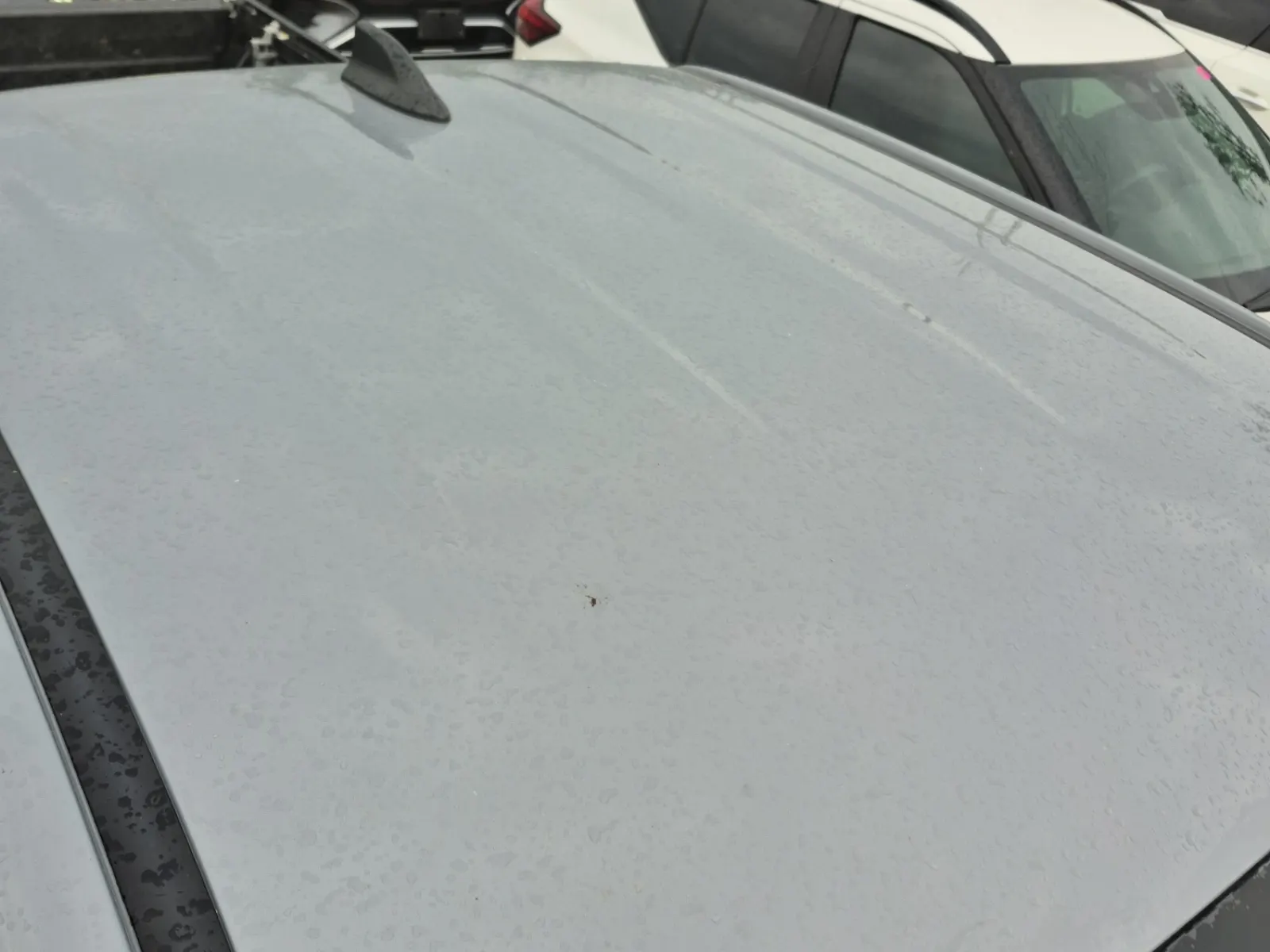 Exterior Roof Photo