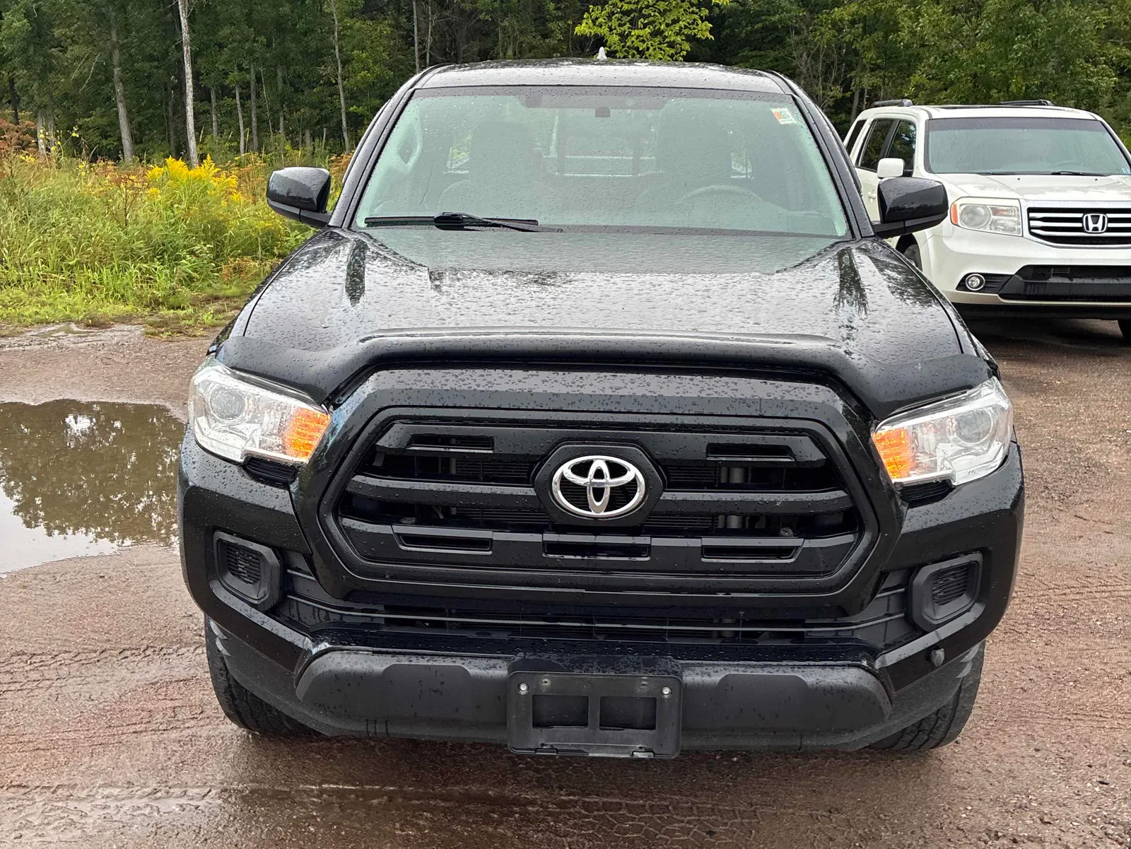 Front