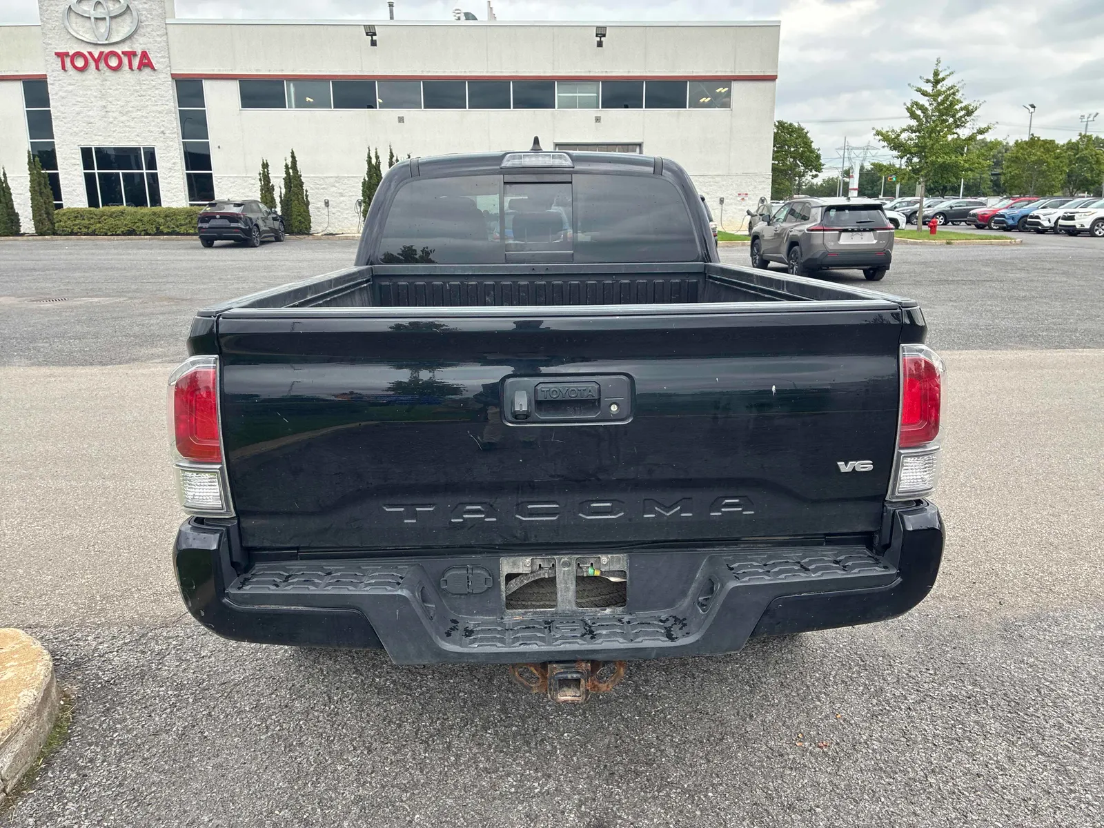Back