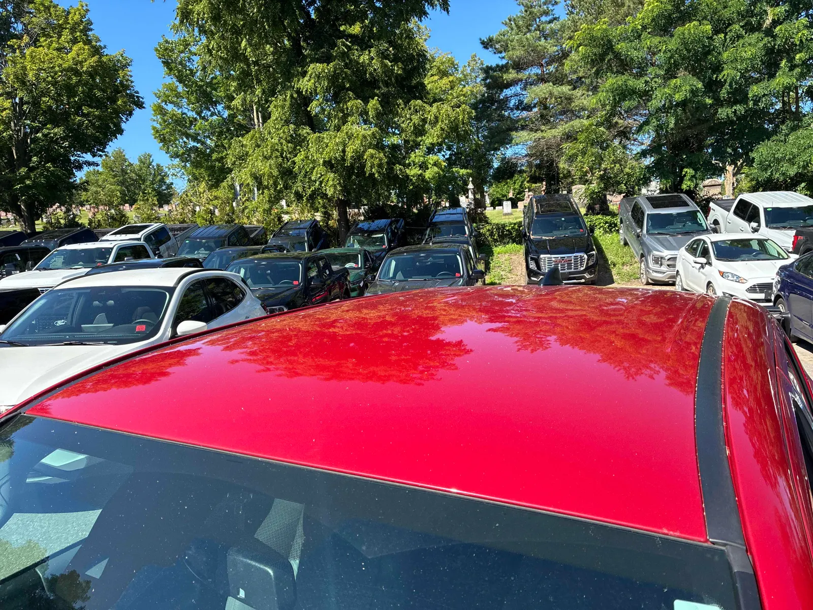 Additional Photo