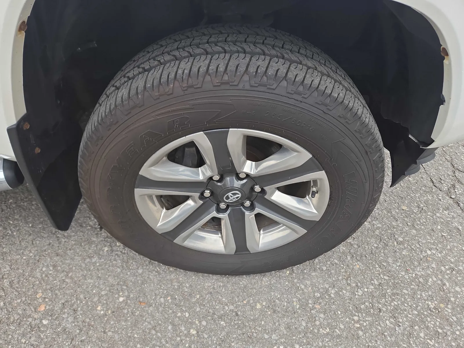 Tire