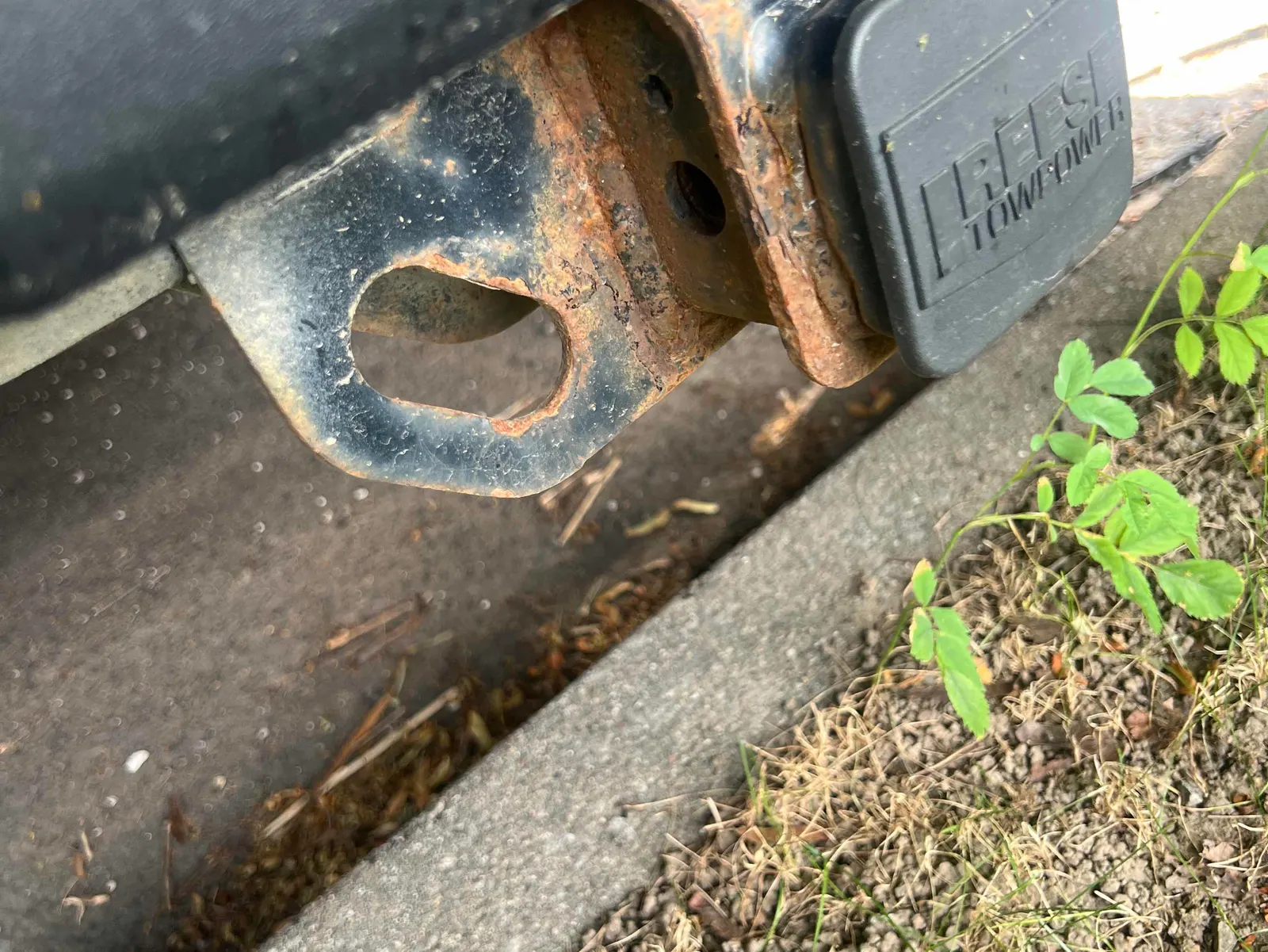 Additional Photo