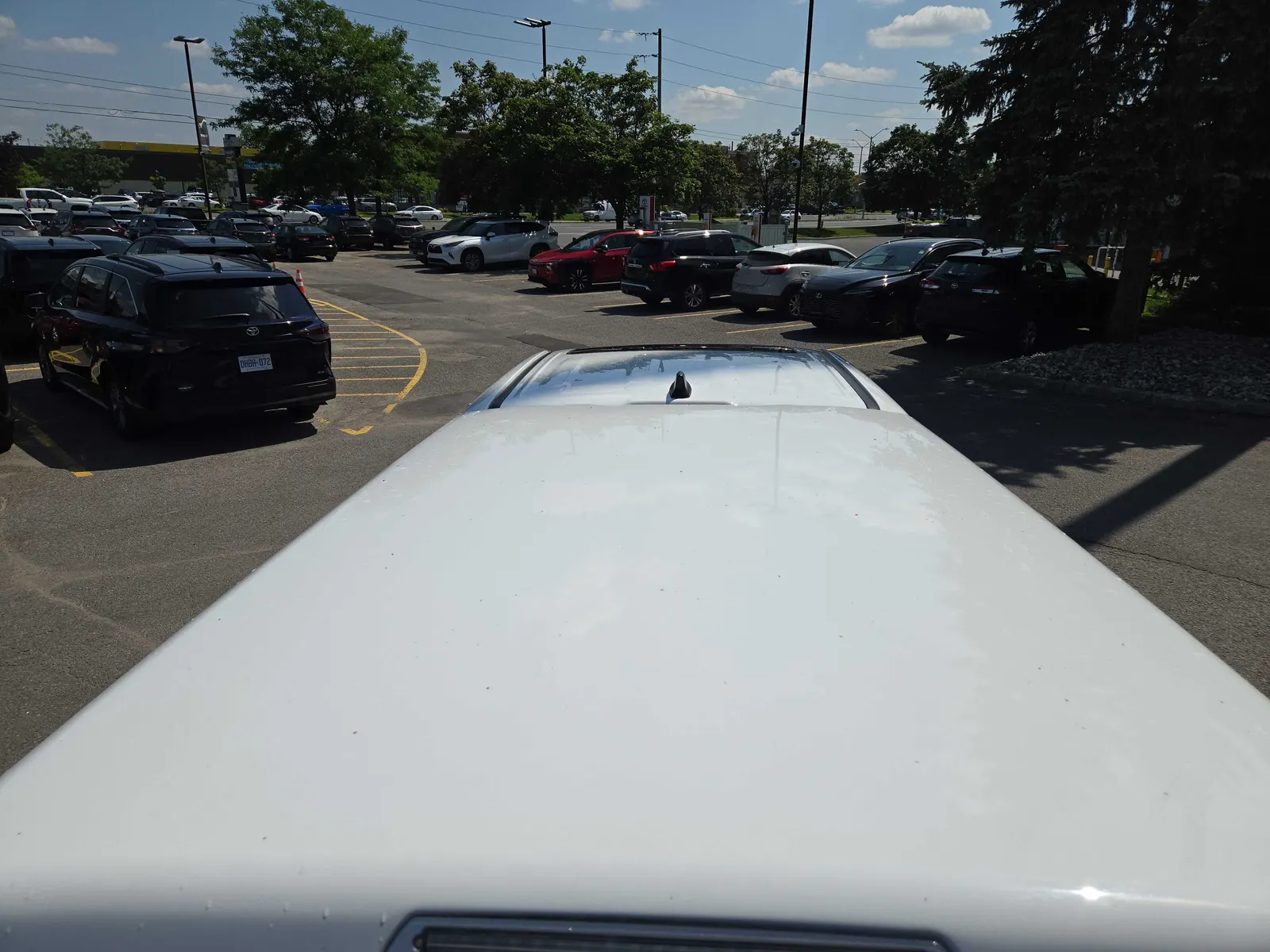 Additional Photo