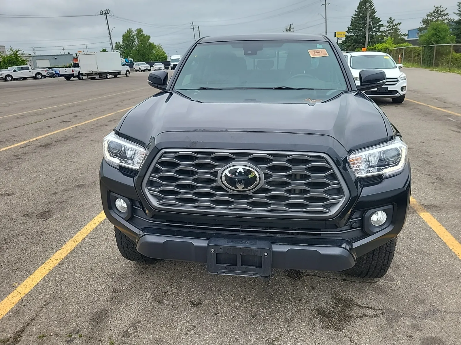 Full Front Photo