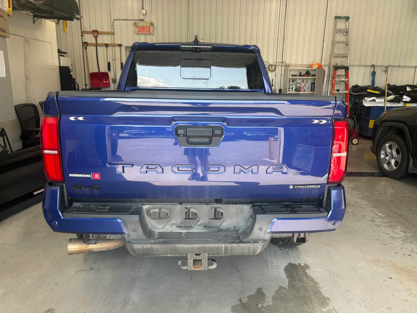 Back