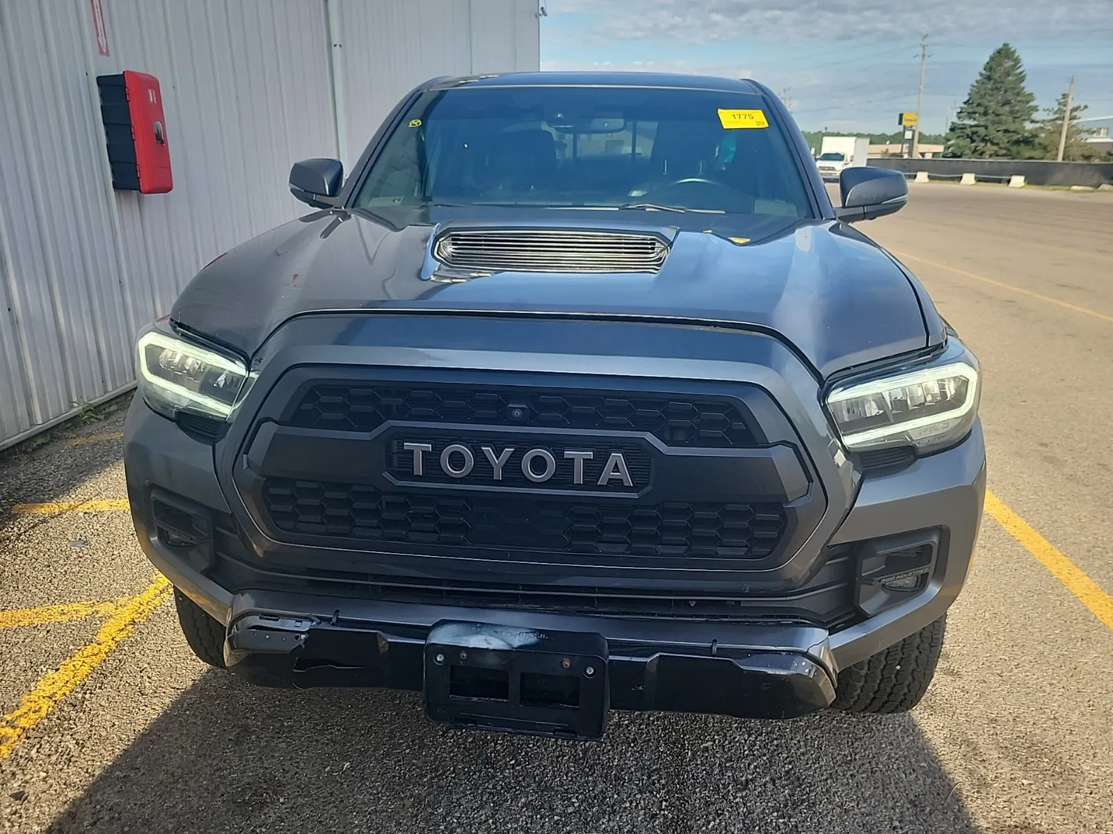 Full Front Photo