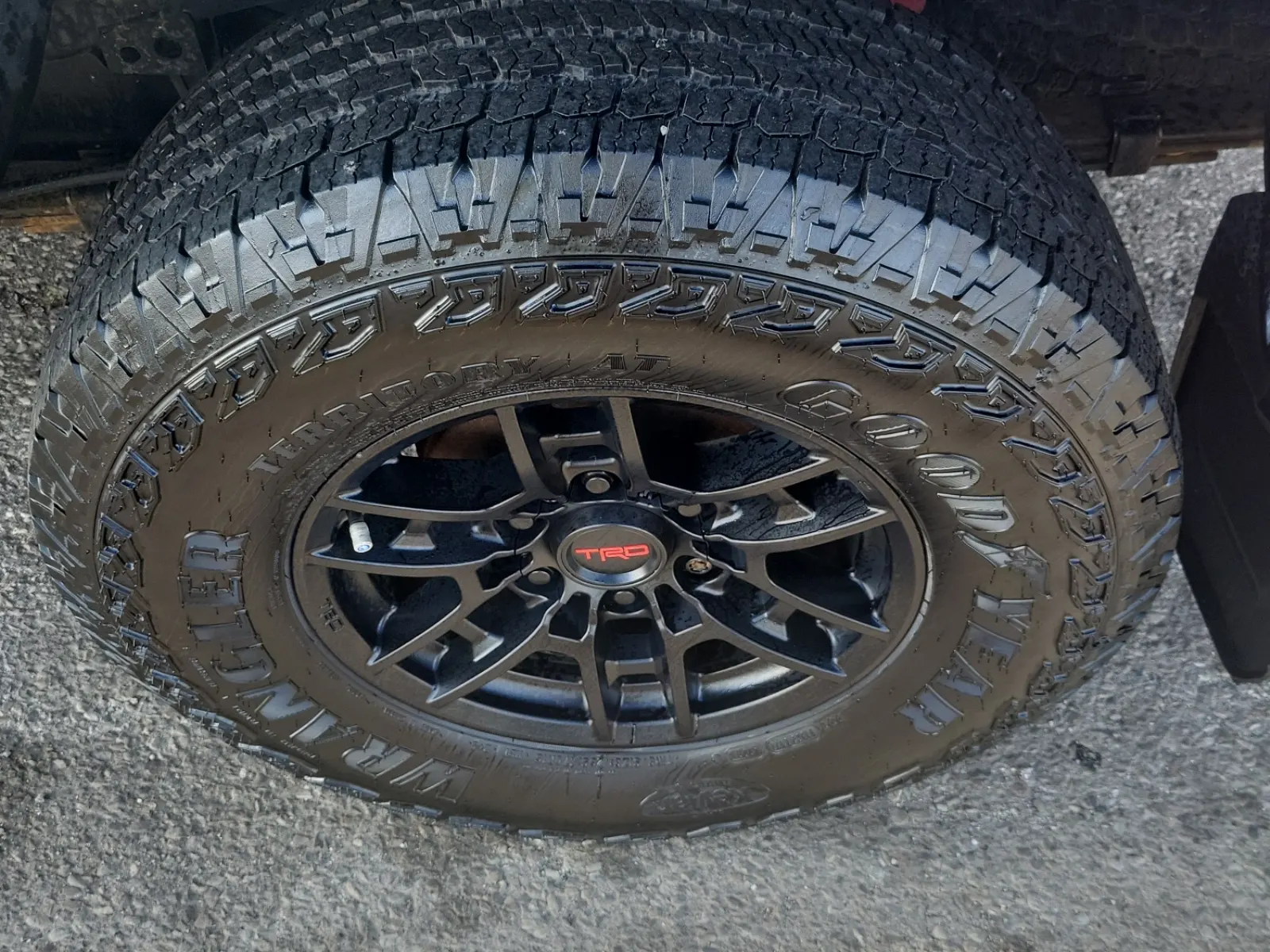 Left Rear Wheel/Tire Photo