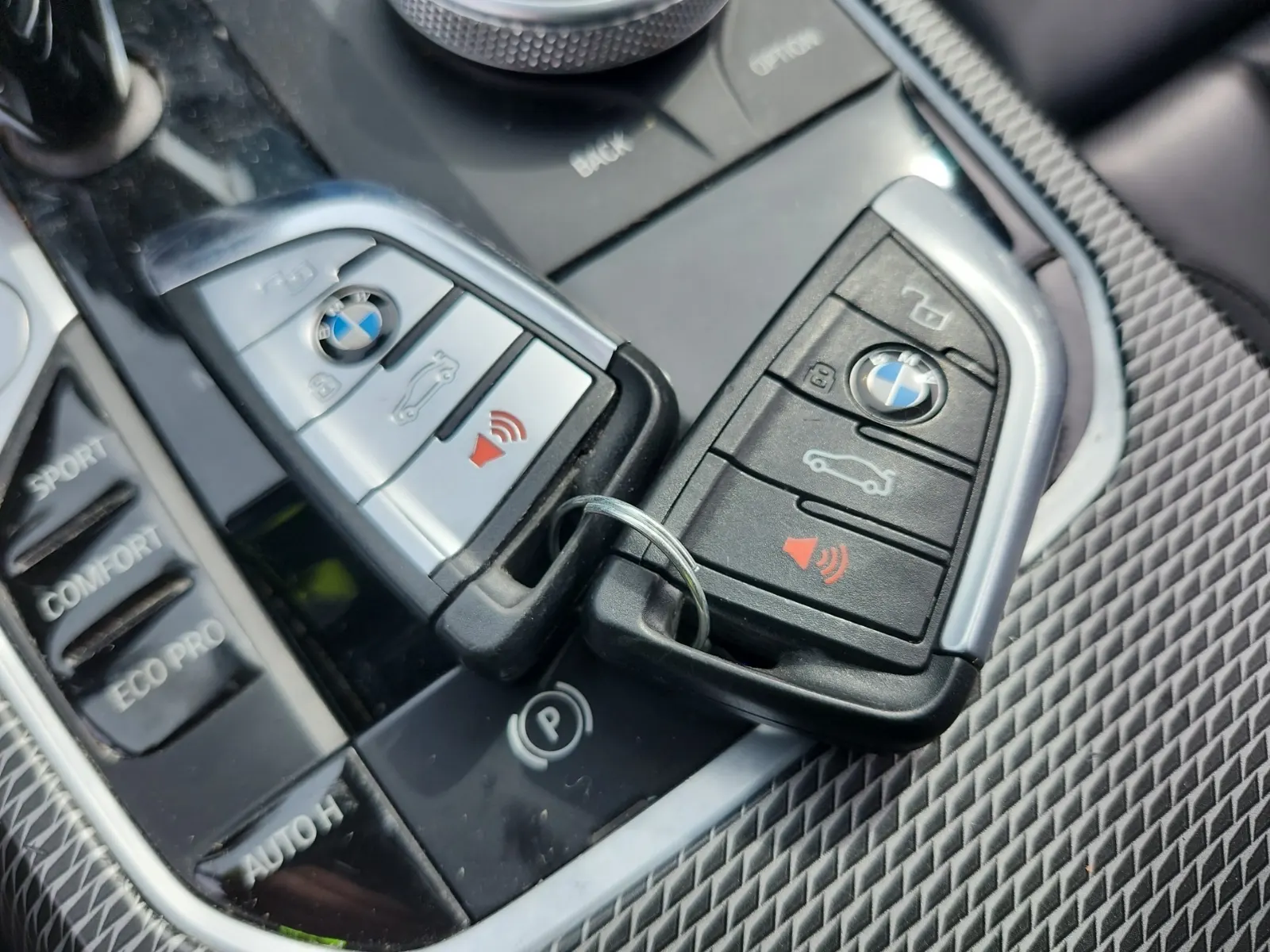 Keys/Fobs/Manual Photo