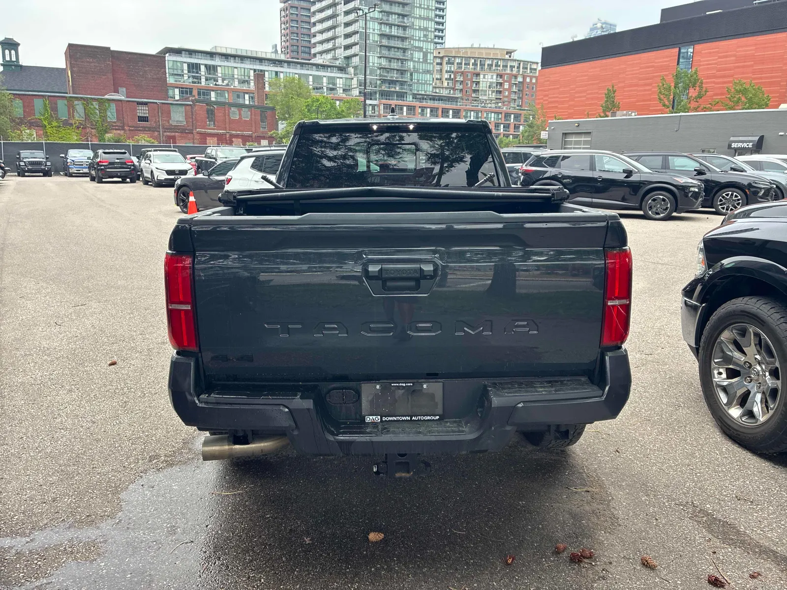 Back