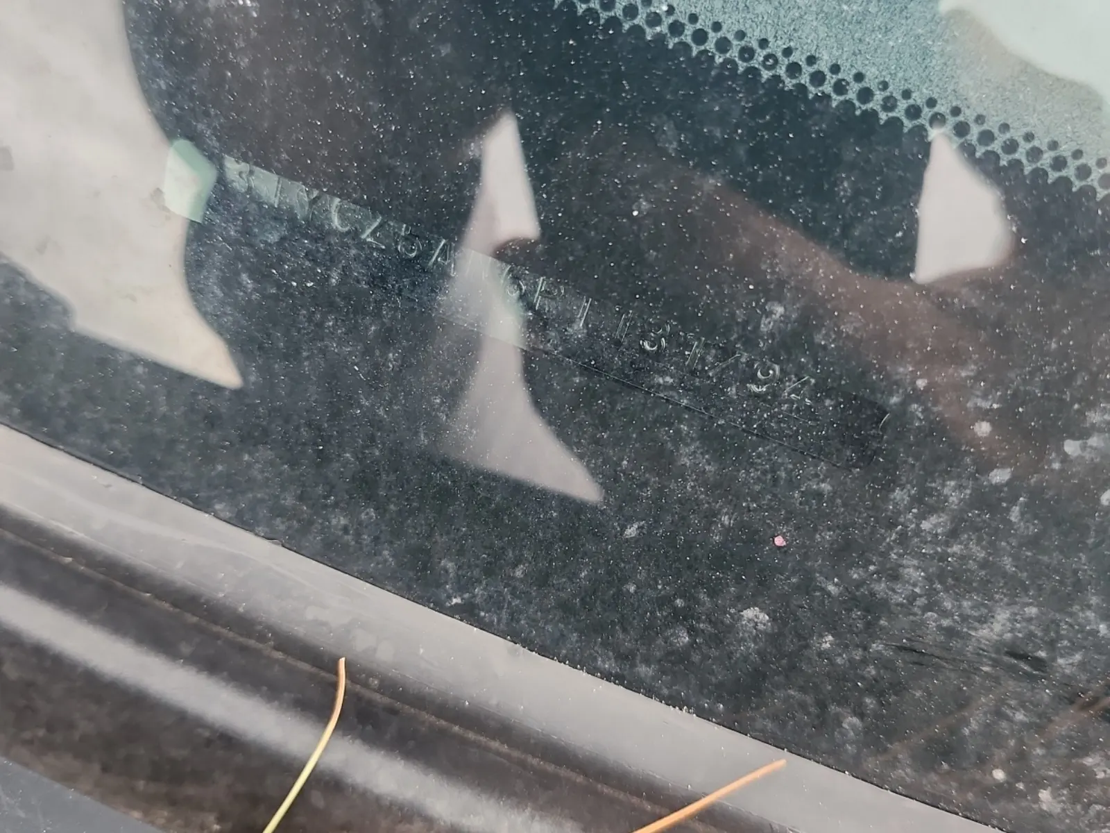 Additional Photo