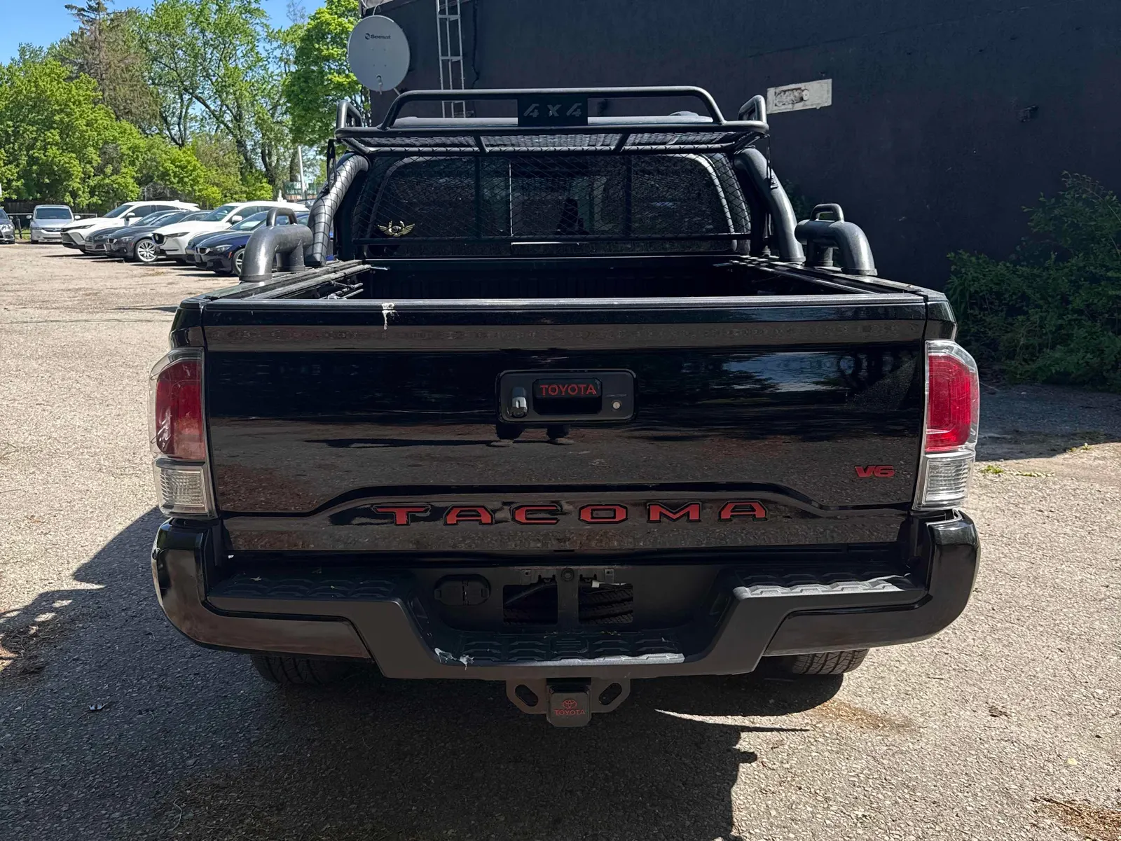 Back