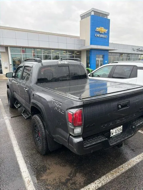 Back
