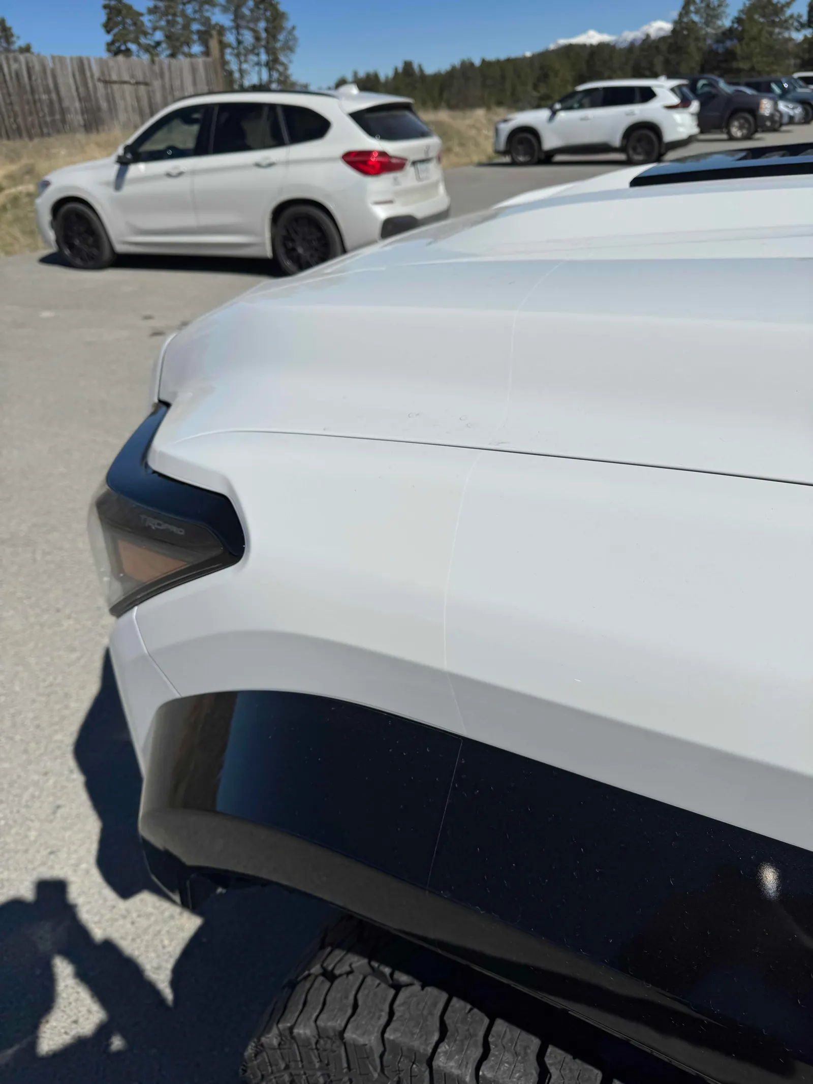 Additional Photo