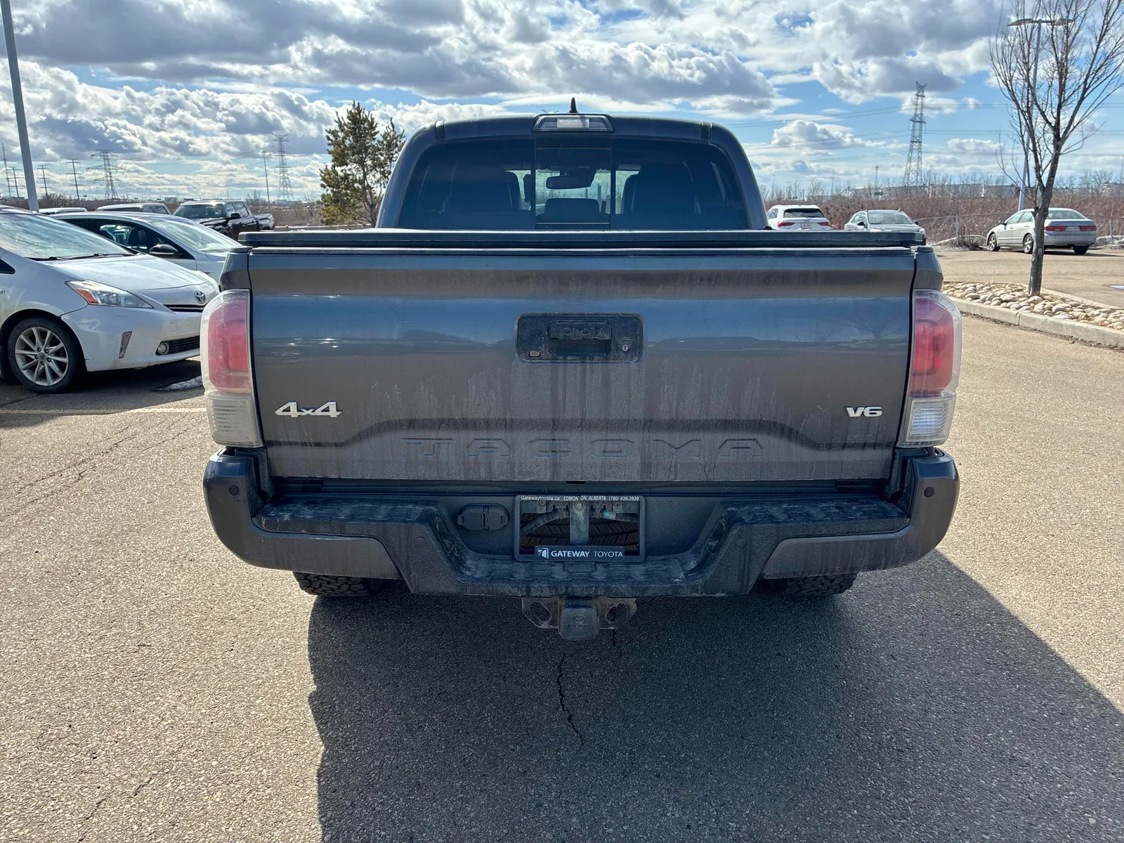 Back