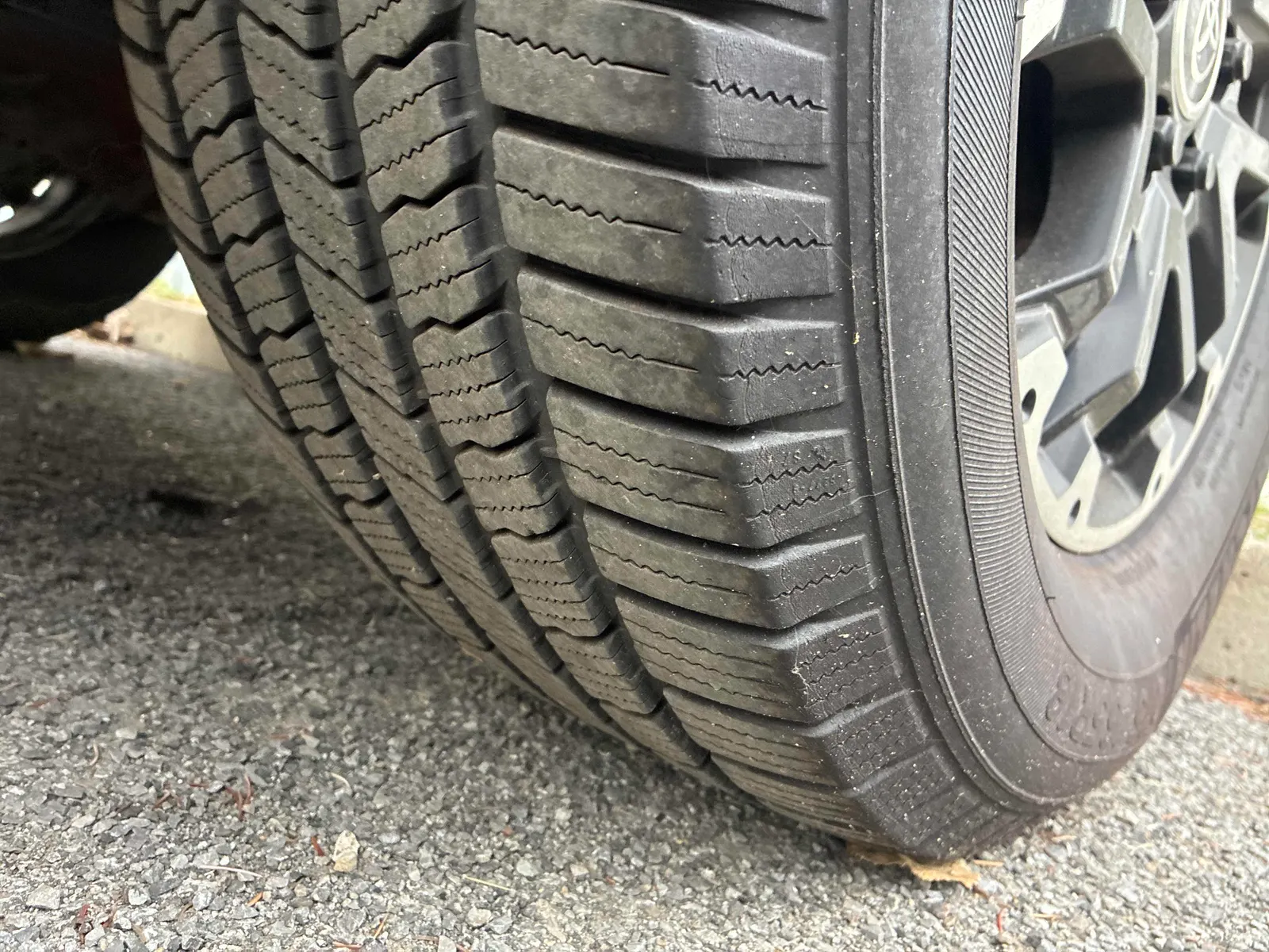 Additional Photo