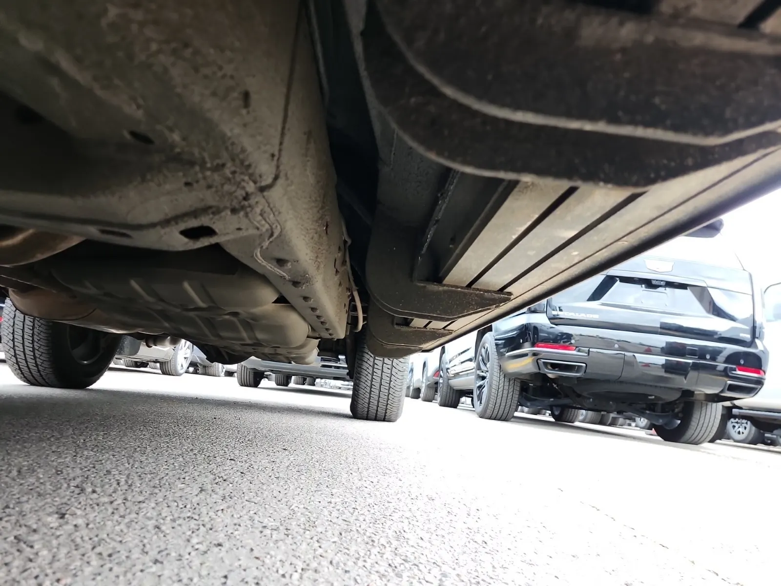 Undercarriage - Driver Photo