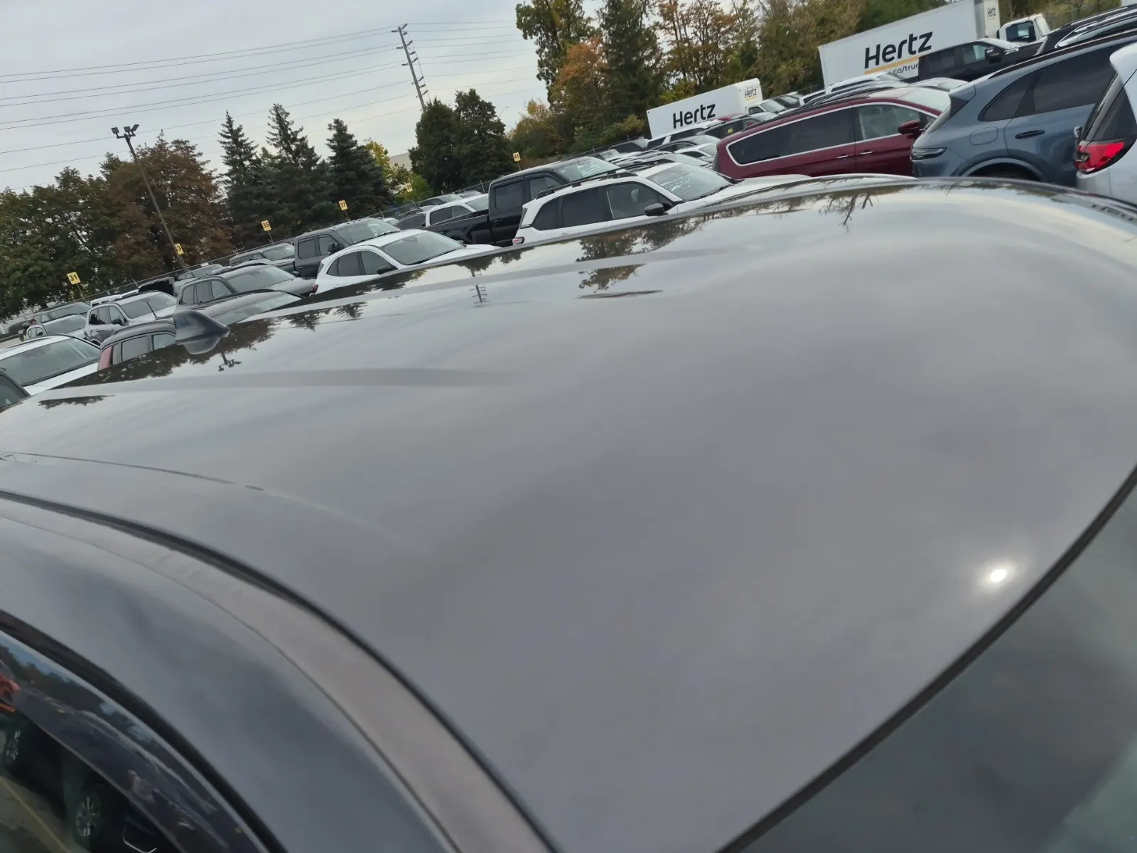 Exterior Roof Photo