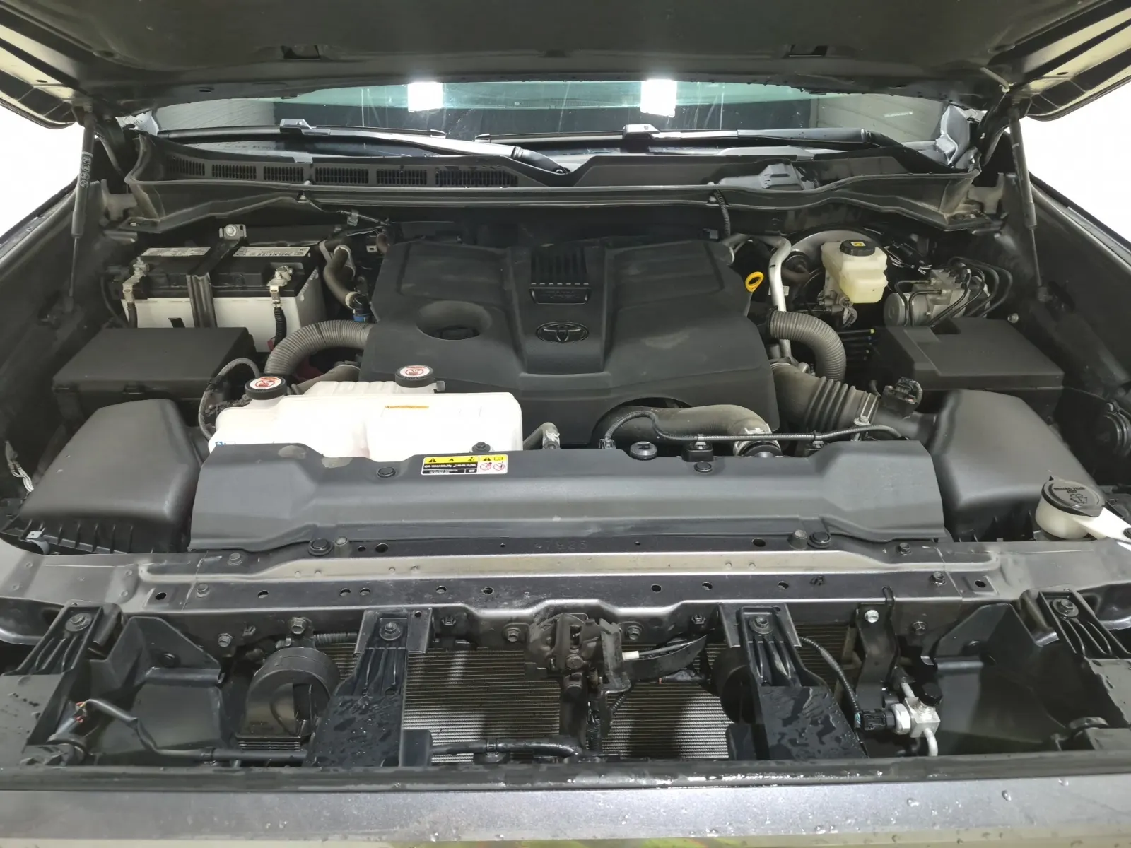 Additional Photo