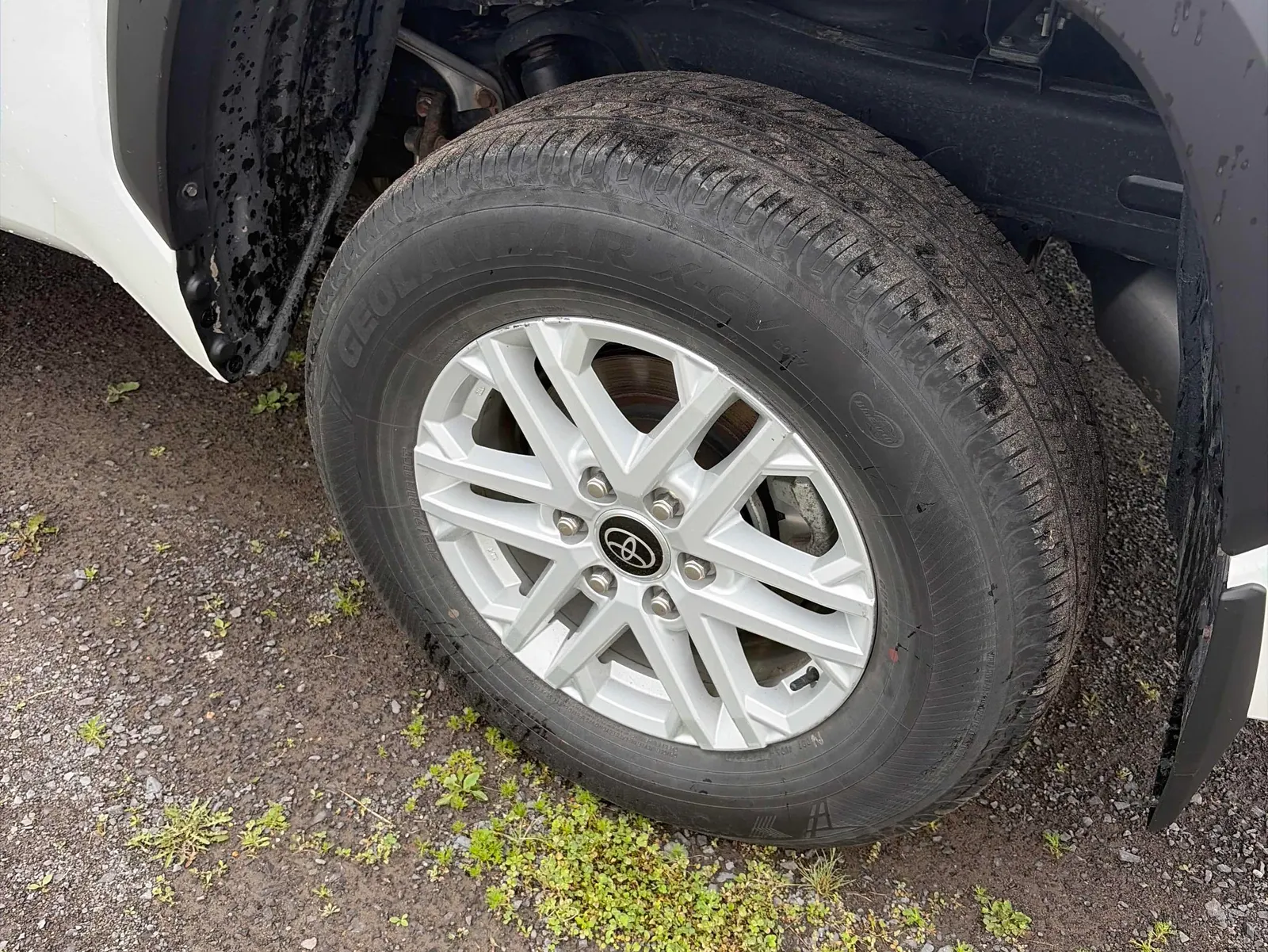 Tire