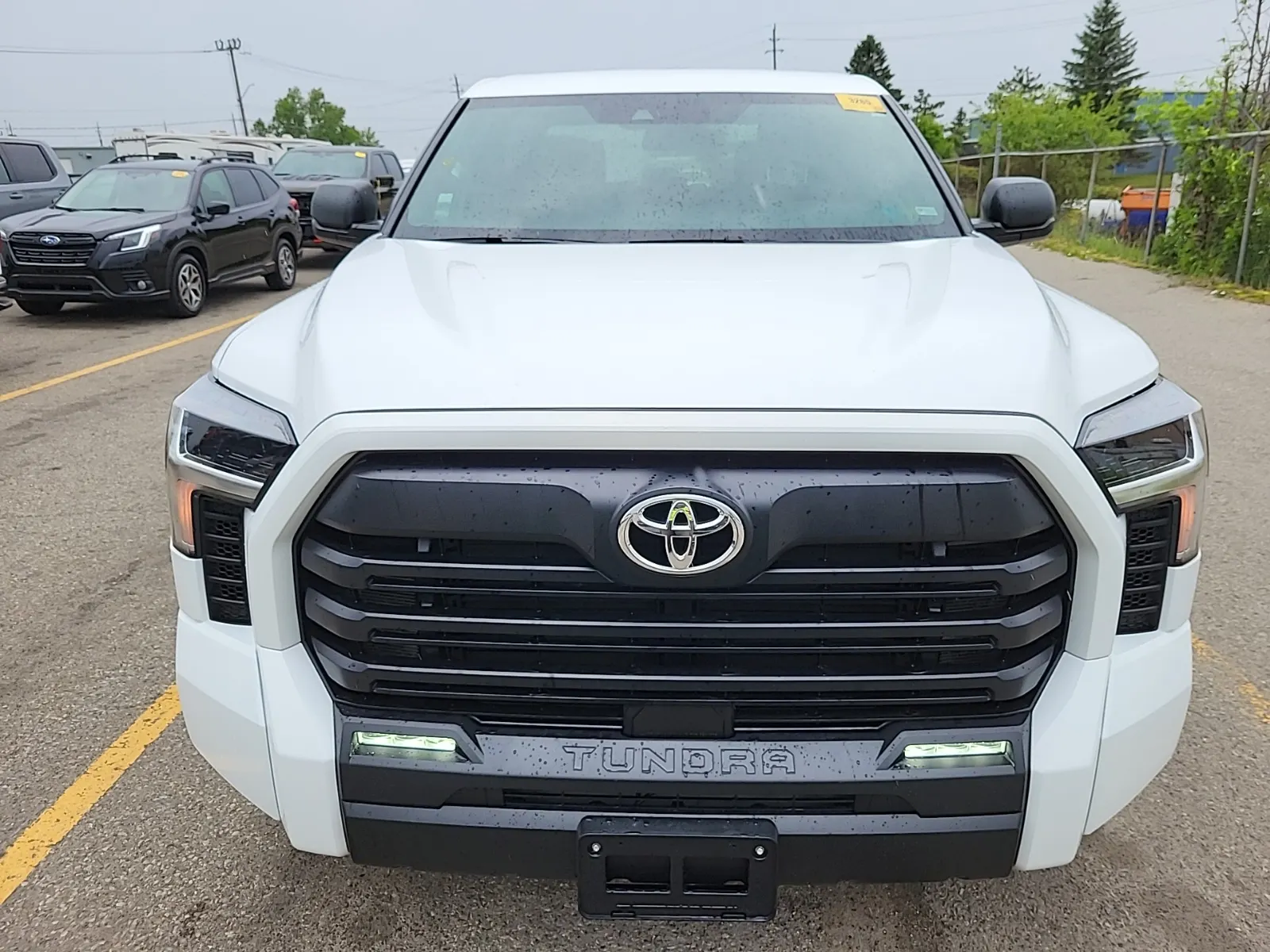 Full Front Photo