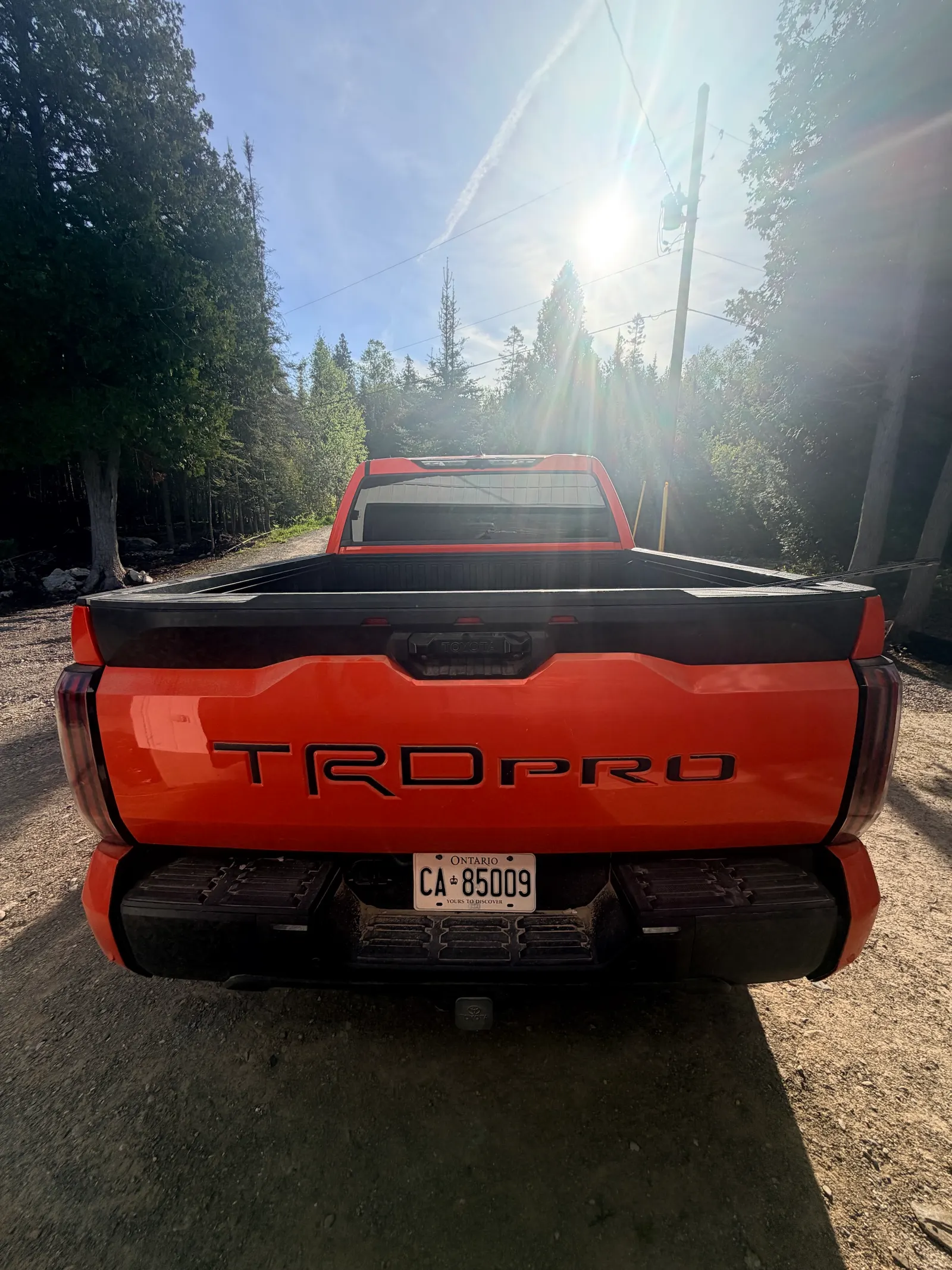 Back