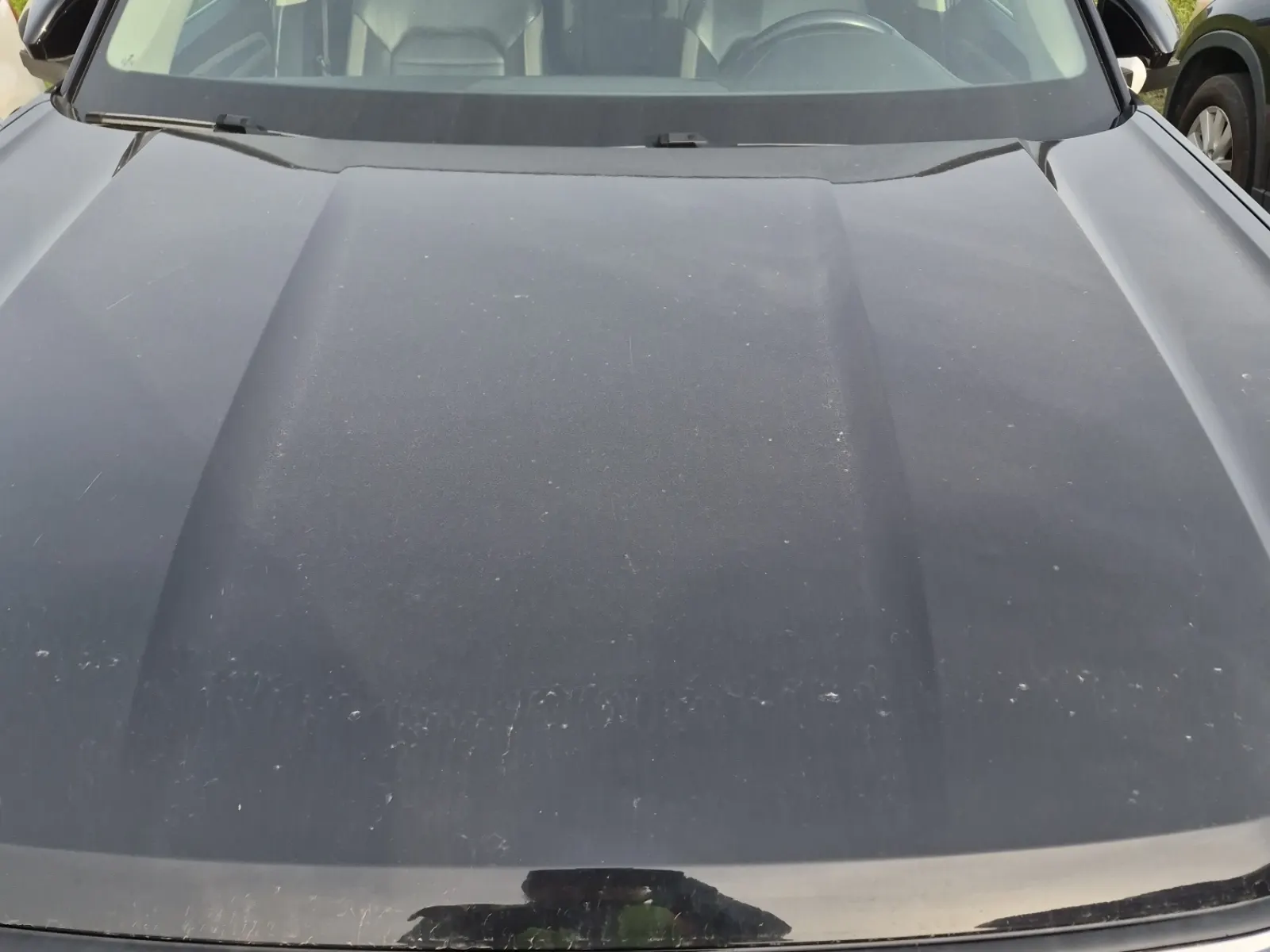 Emission Sticker Photo
