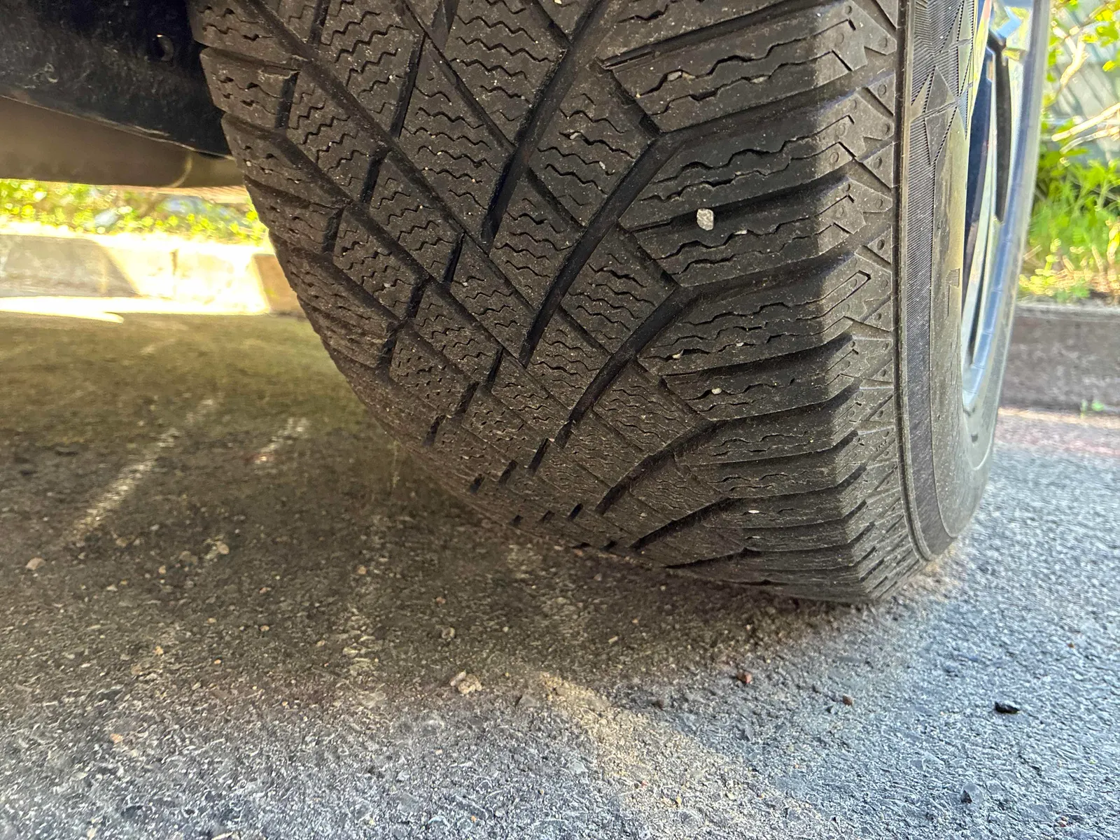 Additional Photo