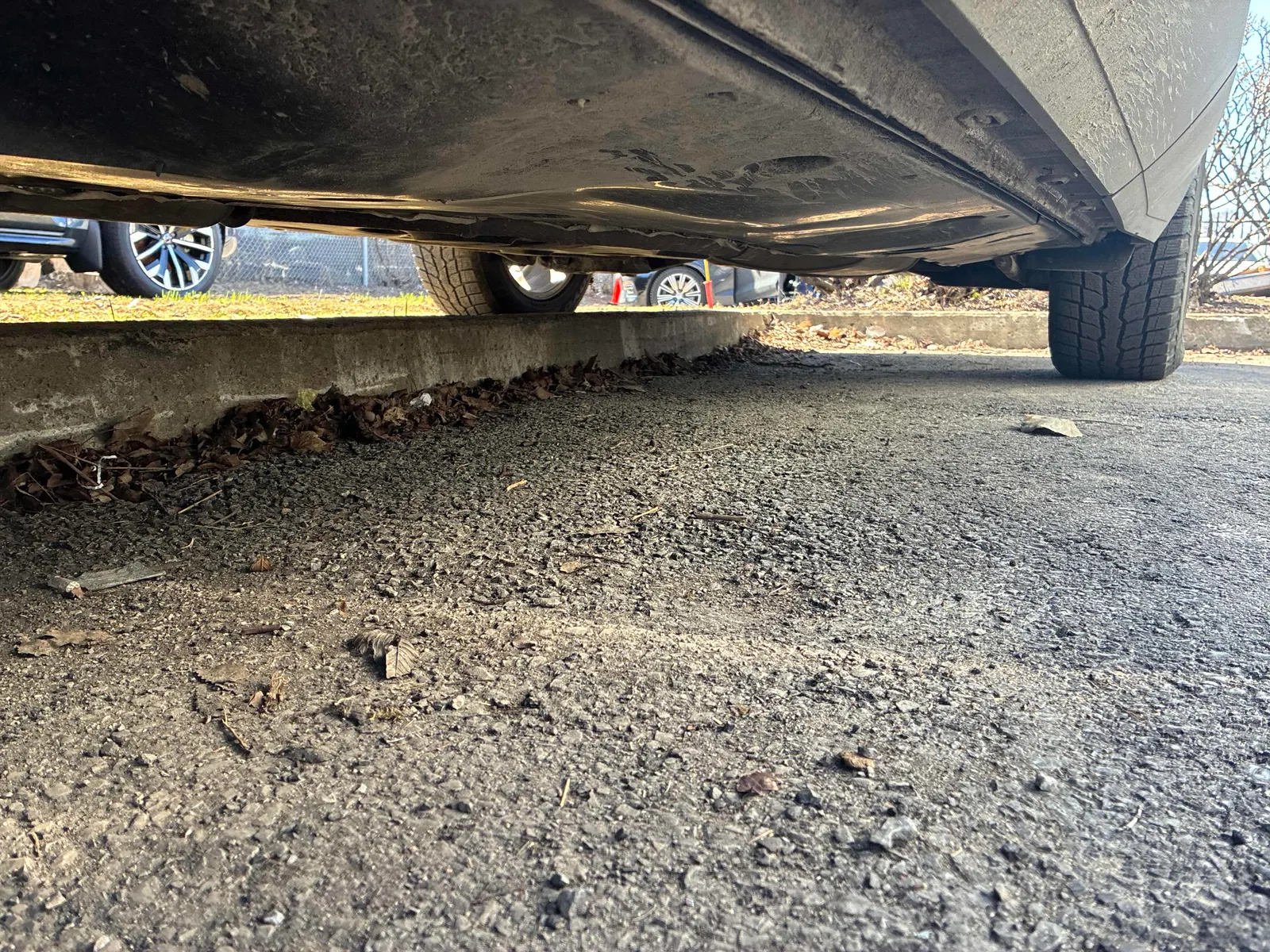 Additional Photo