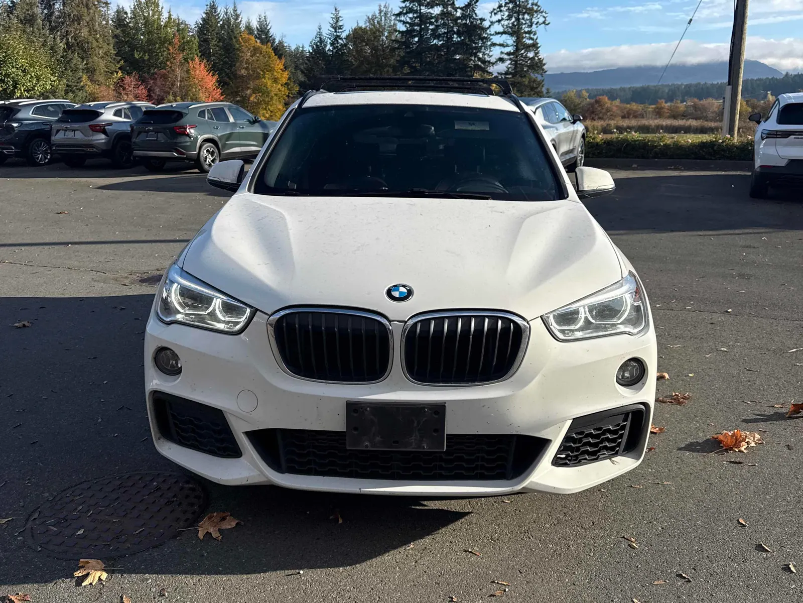 Front