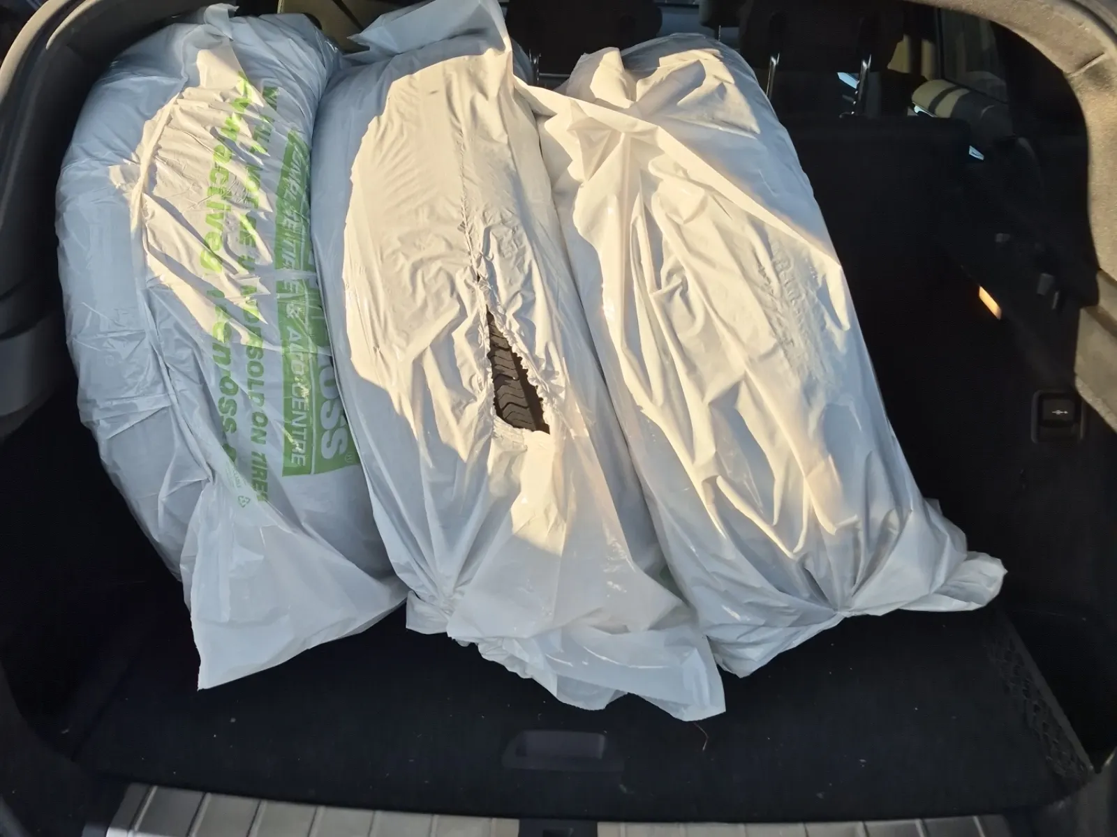 Cargo Area Photo