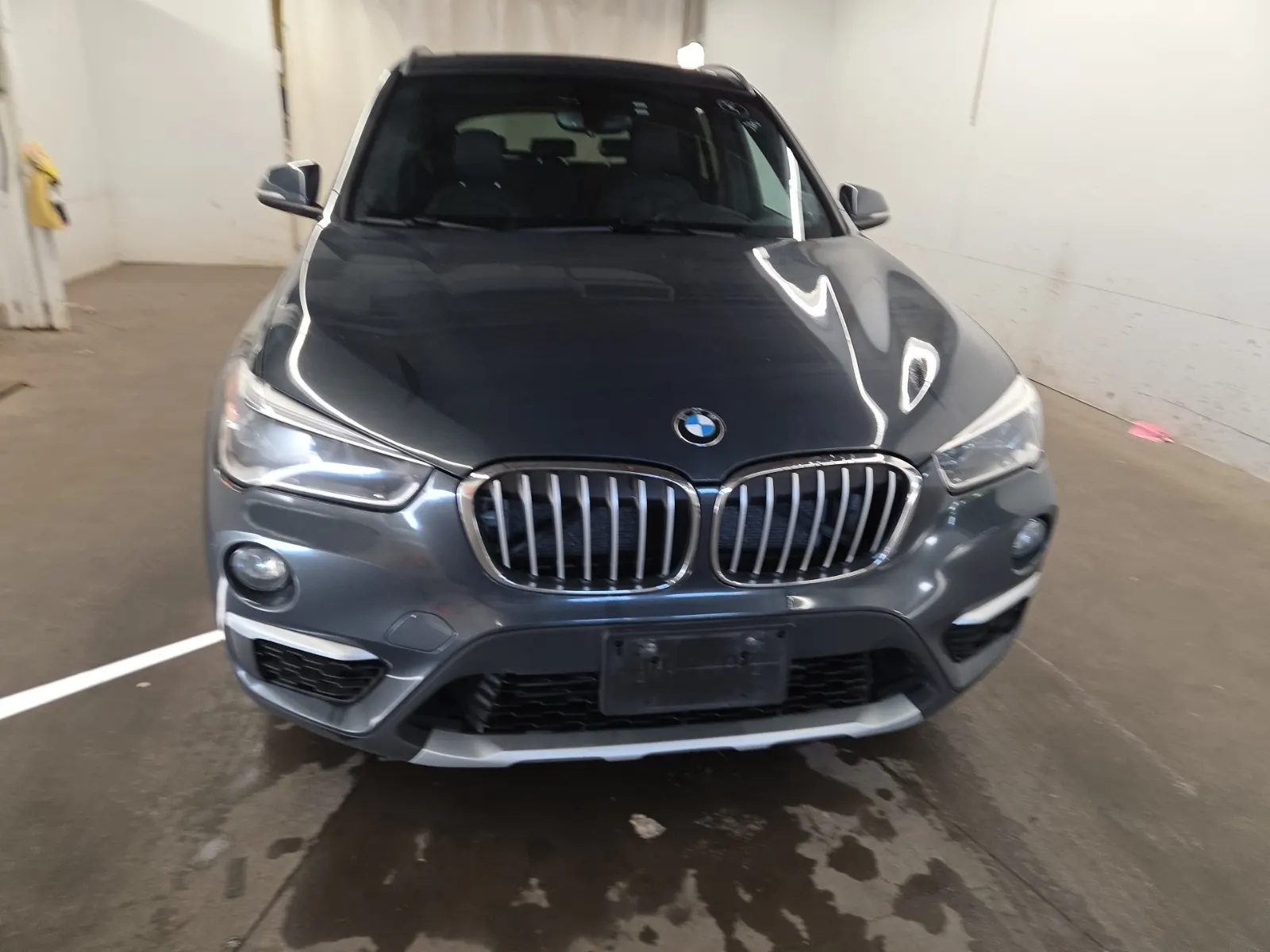 Full Front Photo