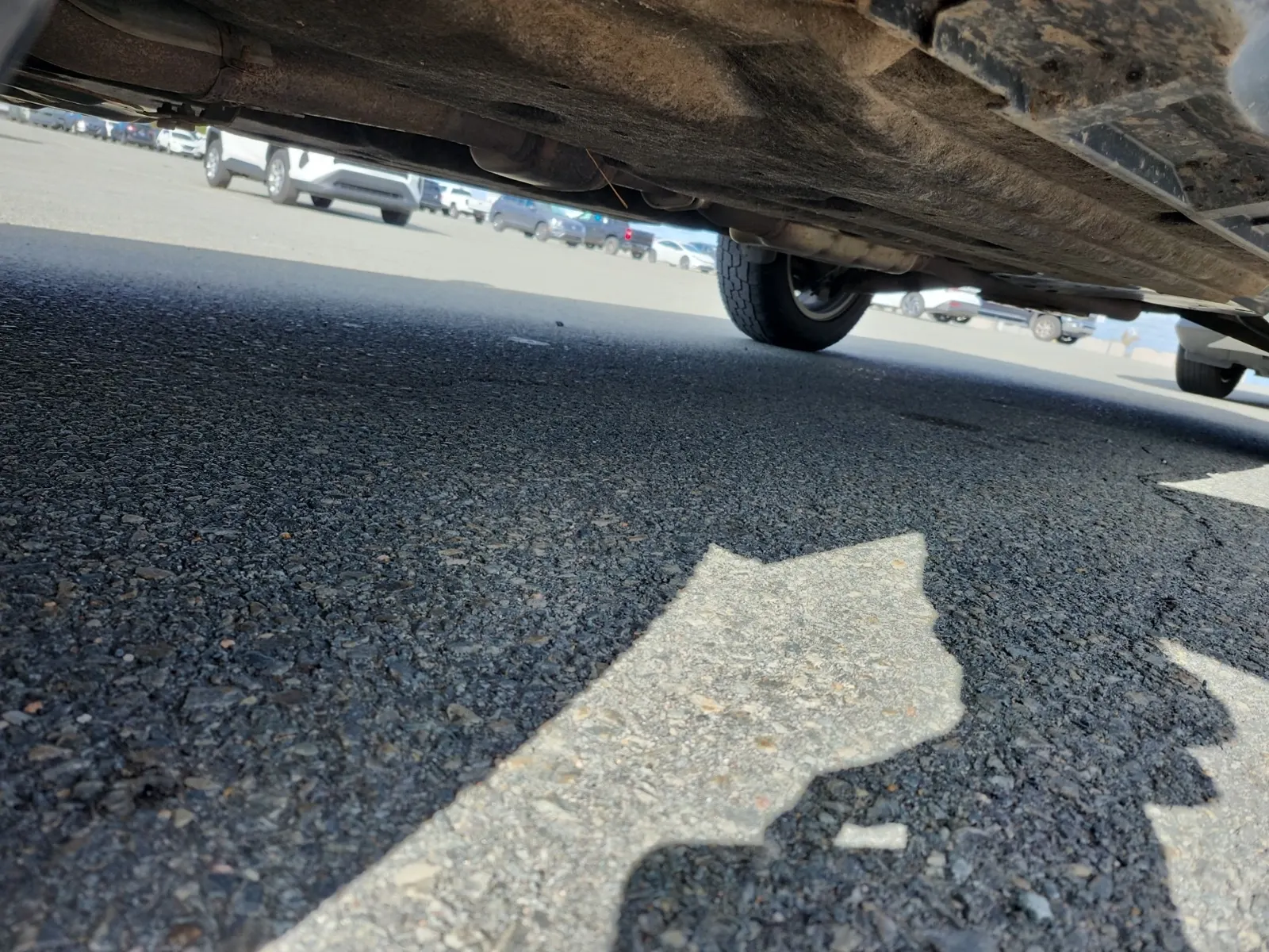 Undercarriage - Driver Photo