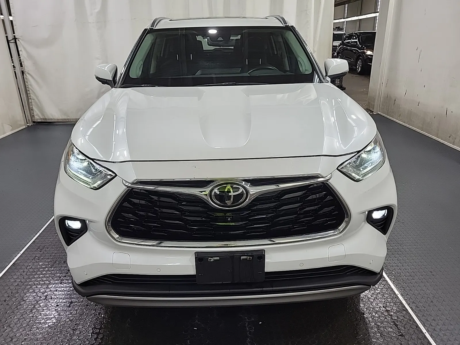 Full Front Photo