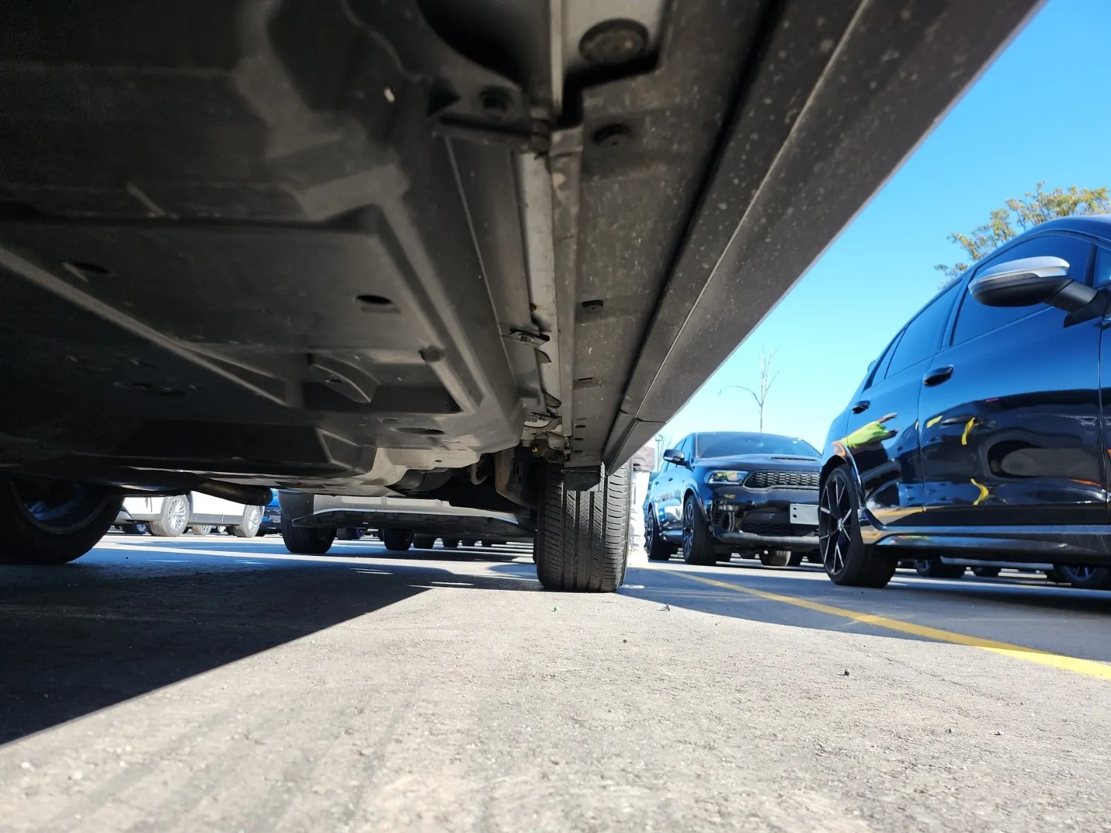 Undercarriage - Driver Photo