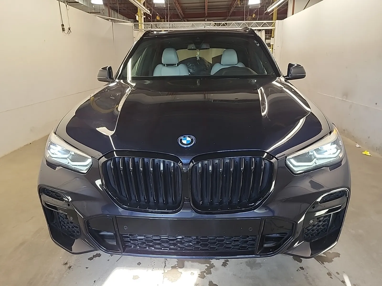 Full Front Photo