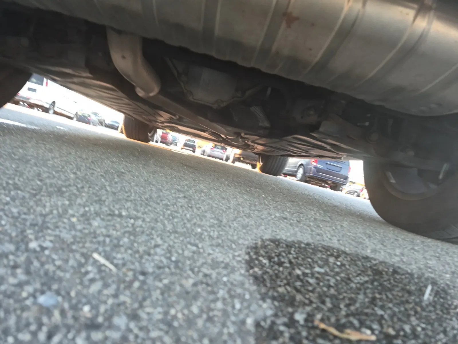 Undercarriage - Rear Photo