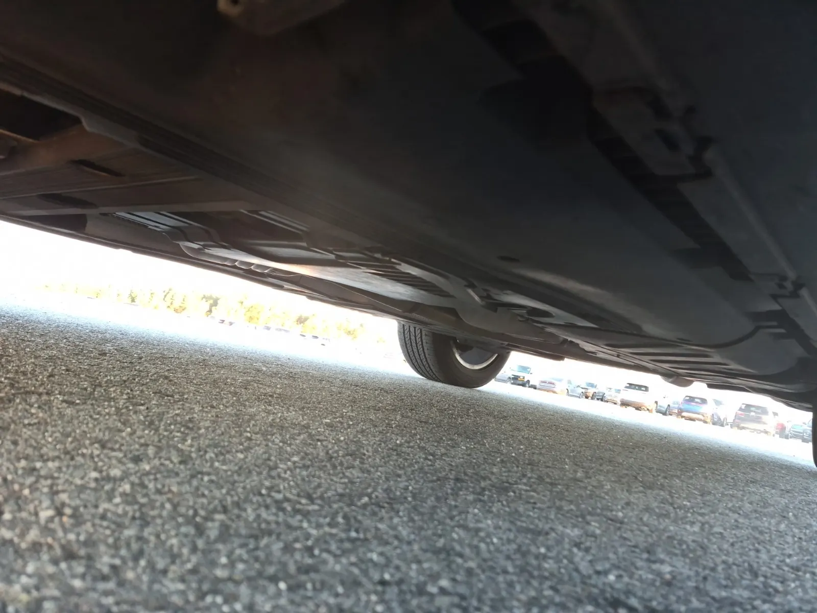 Undercarriage - Driver Photo