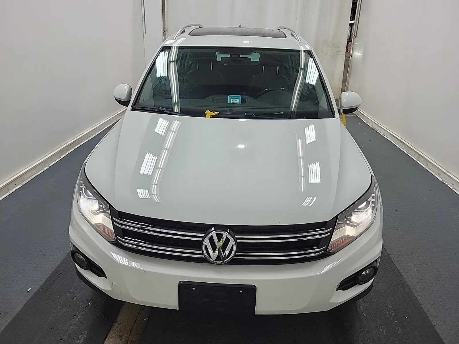 Full Front Photo