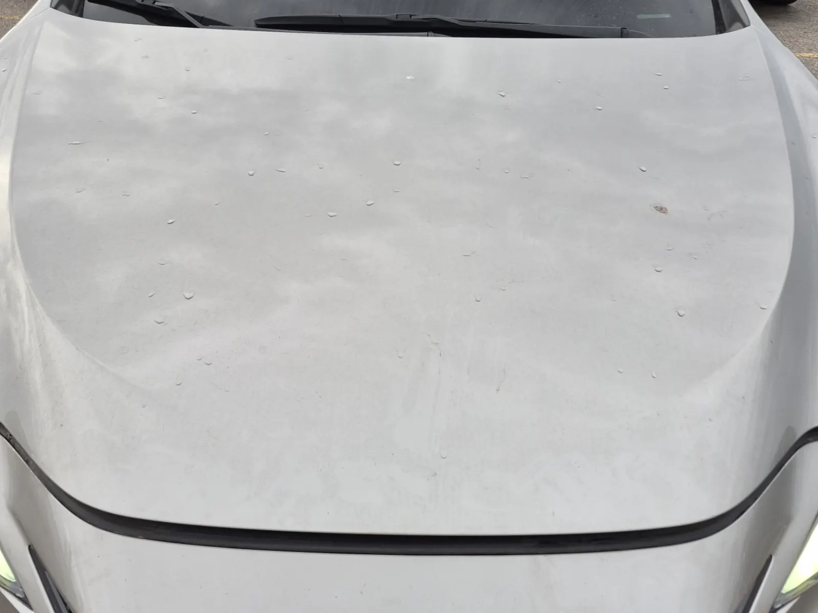 Emission Sticker Photo