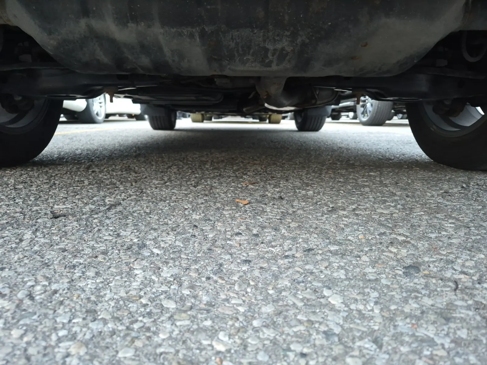 Undercarriage - Rear Photo