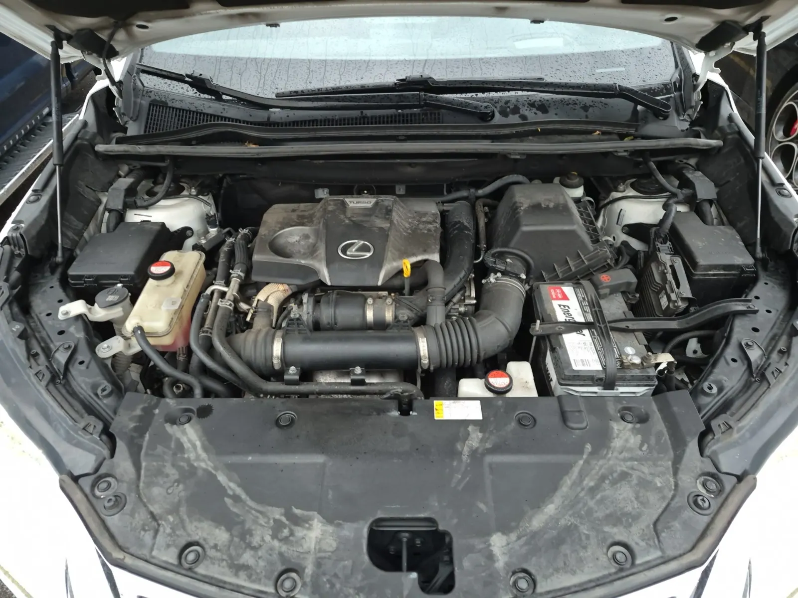 Engine Photo
