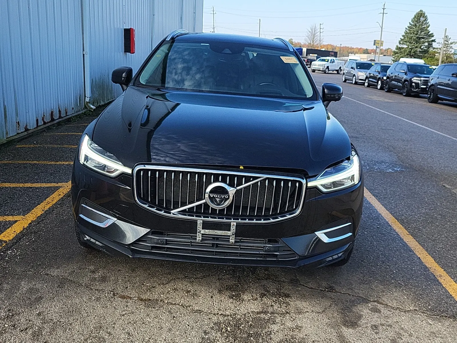 Full Front Photo