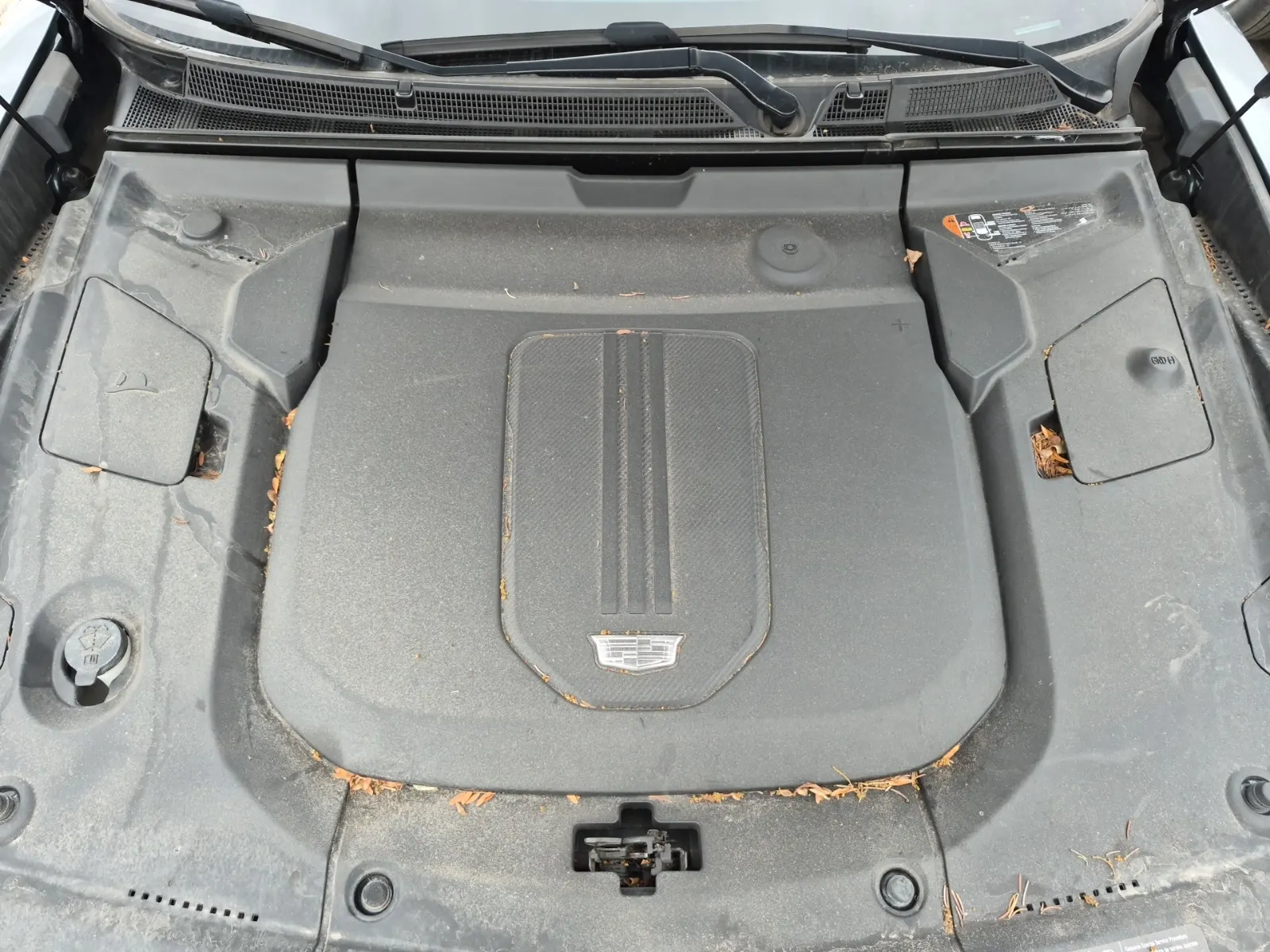 Engine Photo